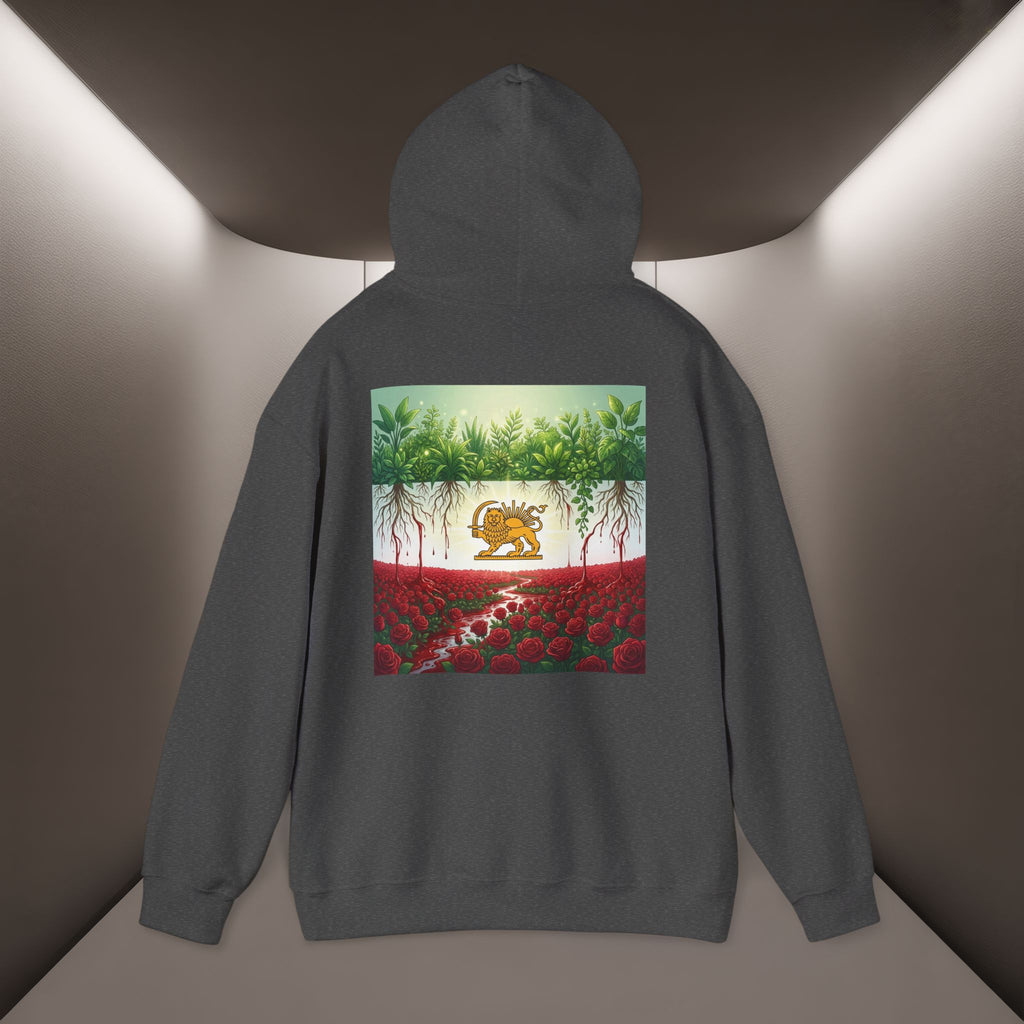 Persian Flag Conceptual Graphic, Unisex Hoodie