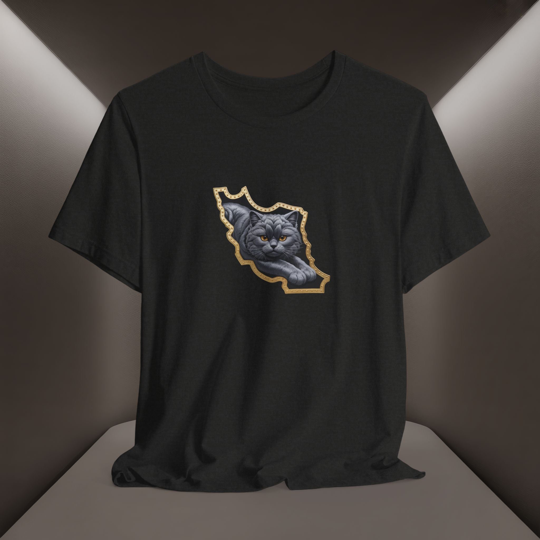 Persian Cat in a Persian Map Graphic design- unisex T-shirt- Premium quality