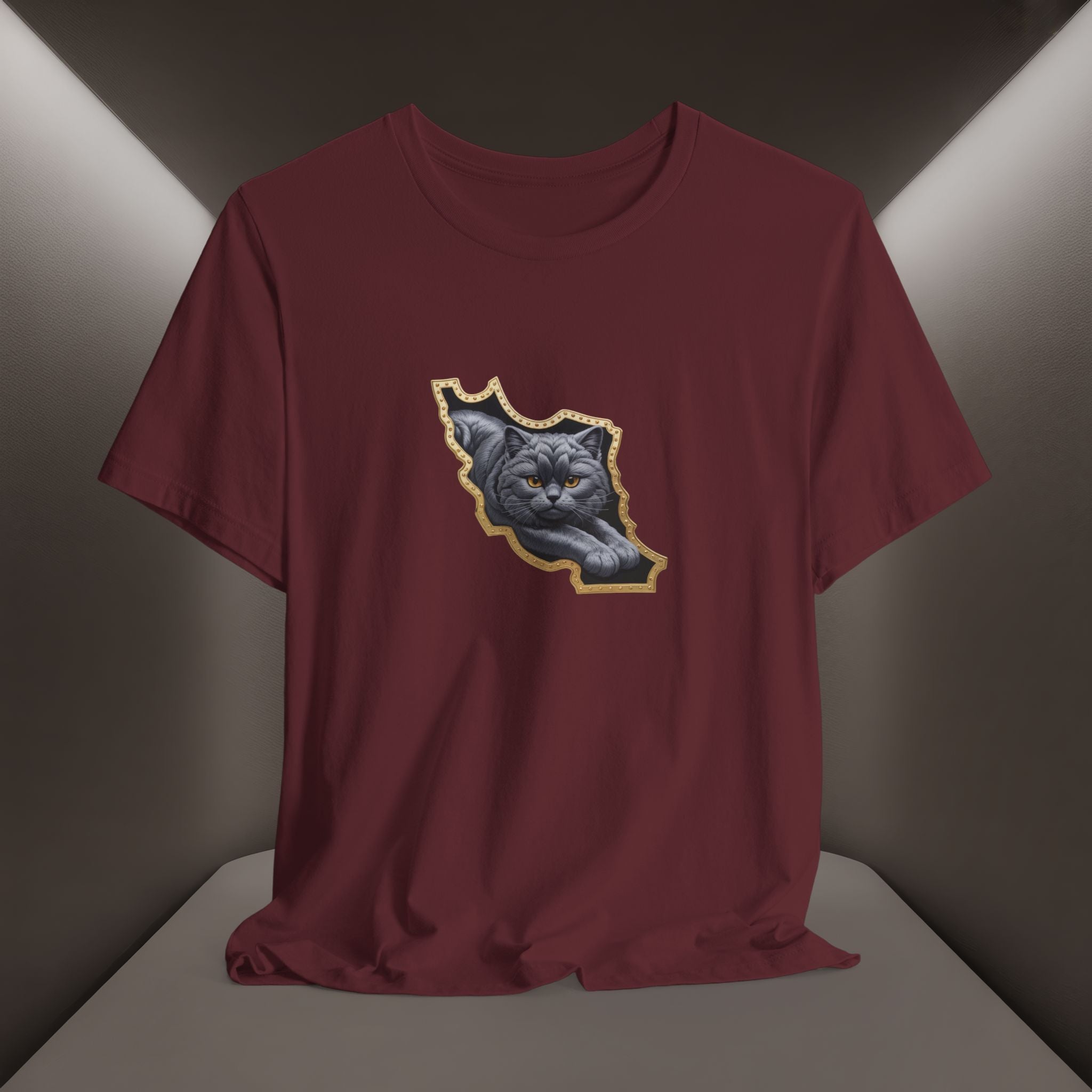 Persian Cat in a Persian Map Graphic design- unisex T-shirt- Premium quality