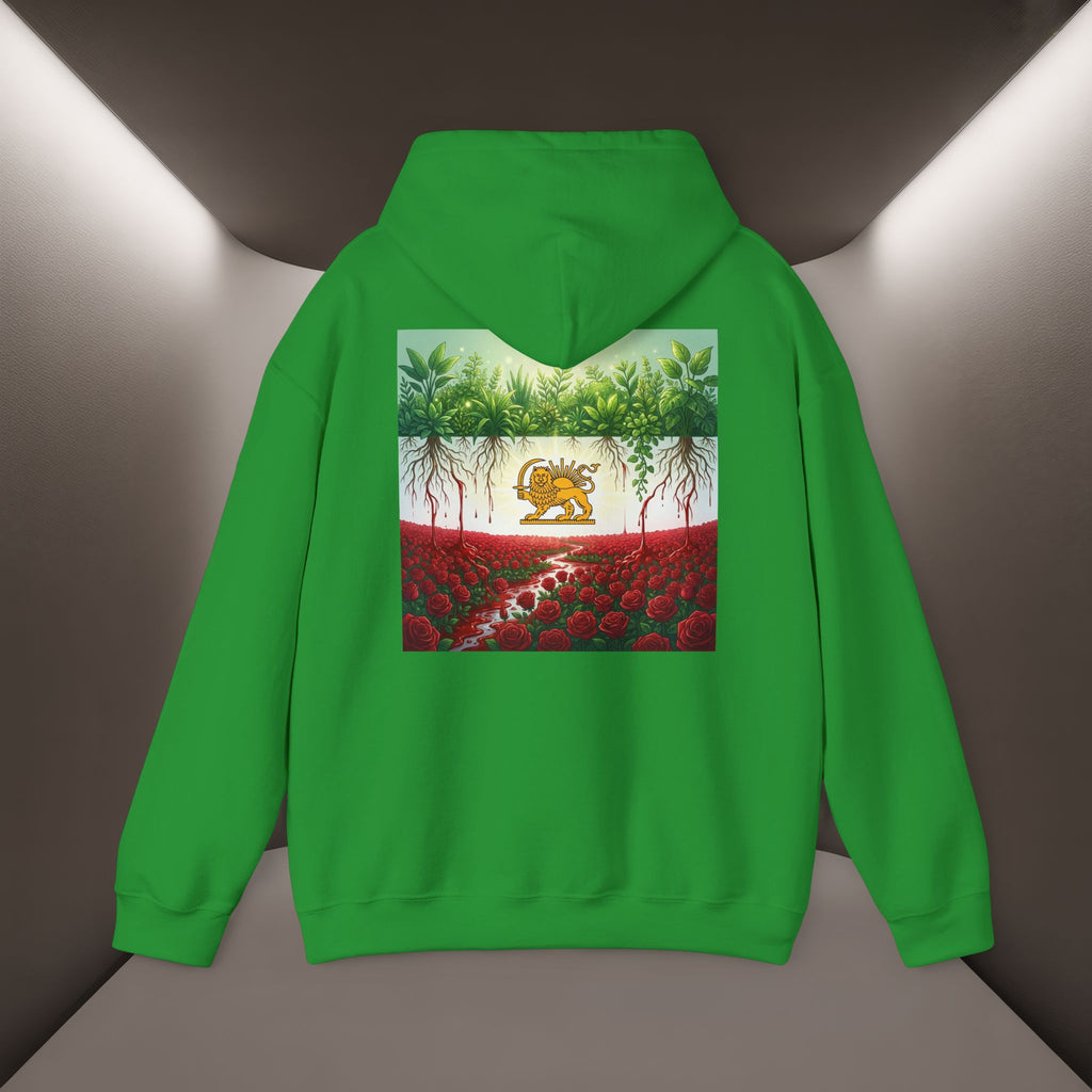Persian Flag Conceptual Graphic, Unisex Hoodie