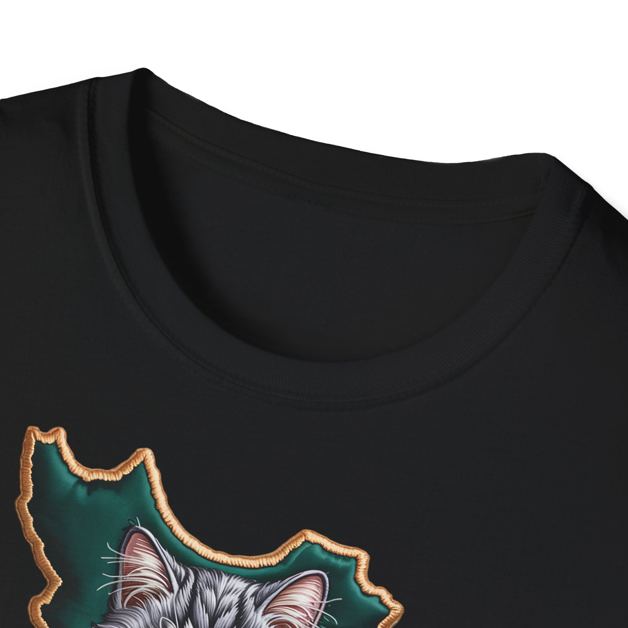 when Persian cat meets the Persian map - premium quality