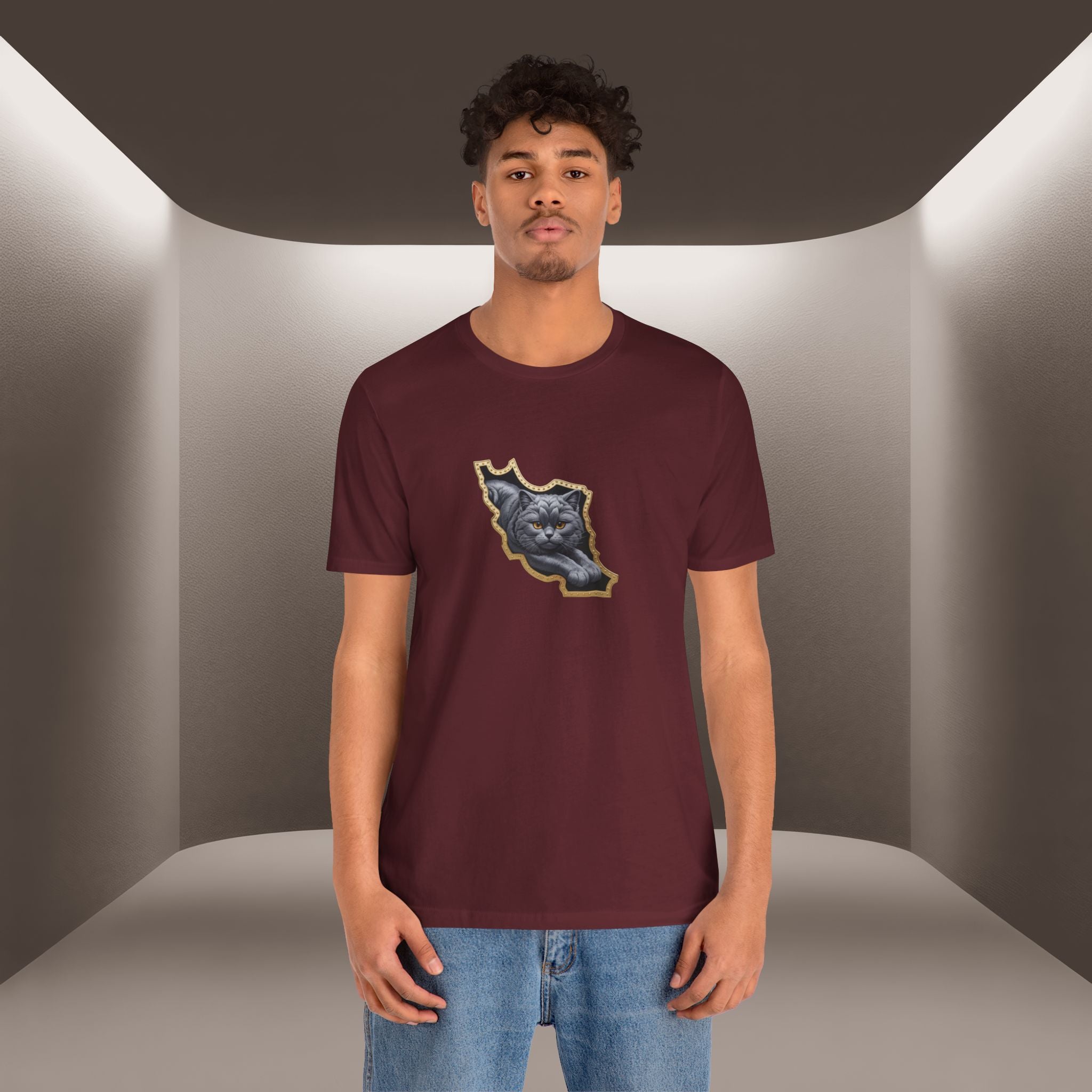 Persian Cat in a Persian Map Graphic design- unisex T-shirt- Premium quality