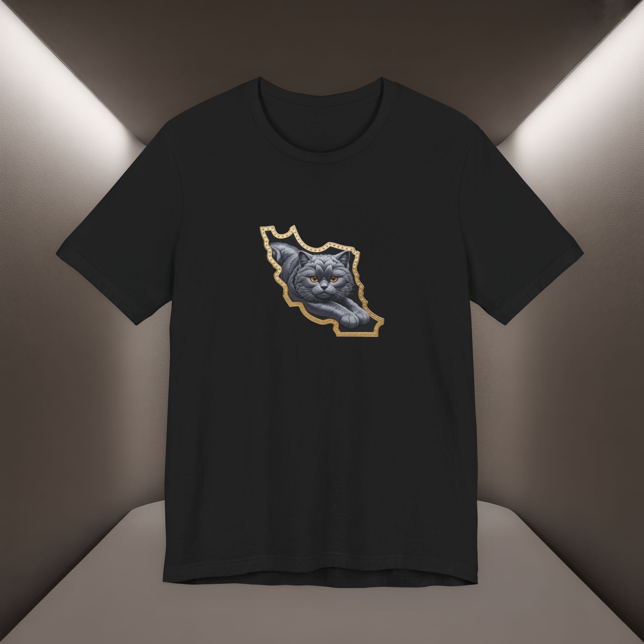 Persian Cat in a Persian Map Graphic design- unisex T-shirt- Premium quality