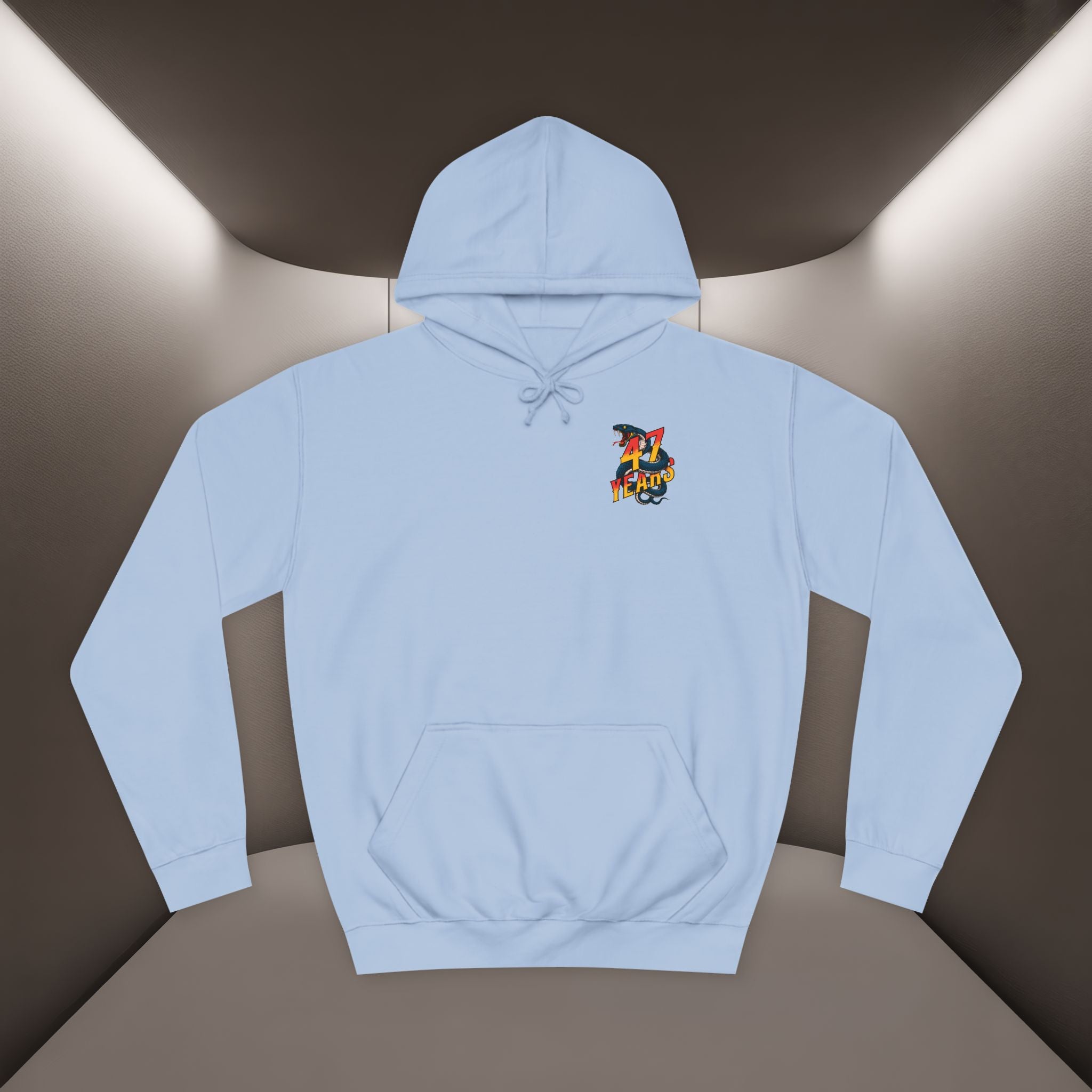 Persian Vibey Unisex Hoodie — 47 years design Hoodie
