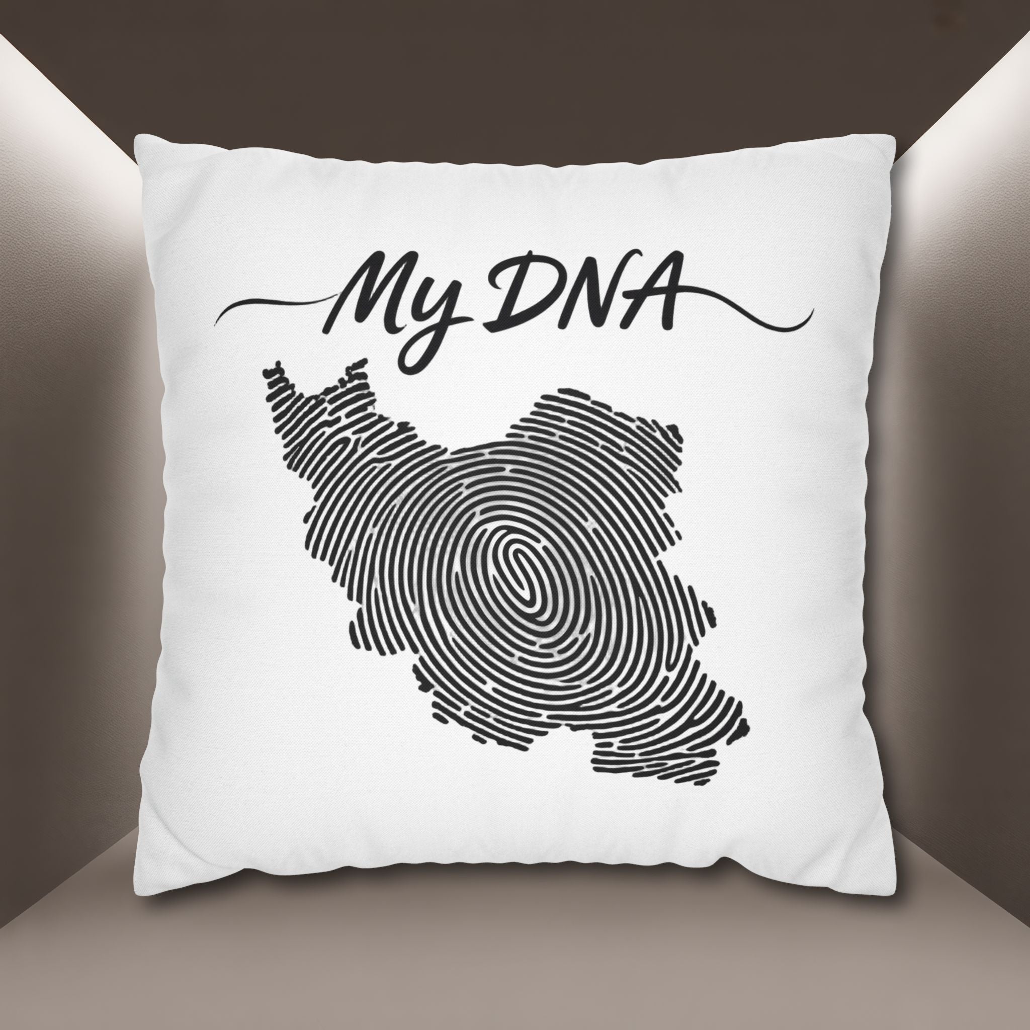 My DNA Map Pillow case — Iran's Map pillow