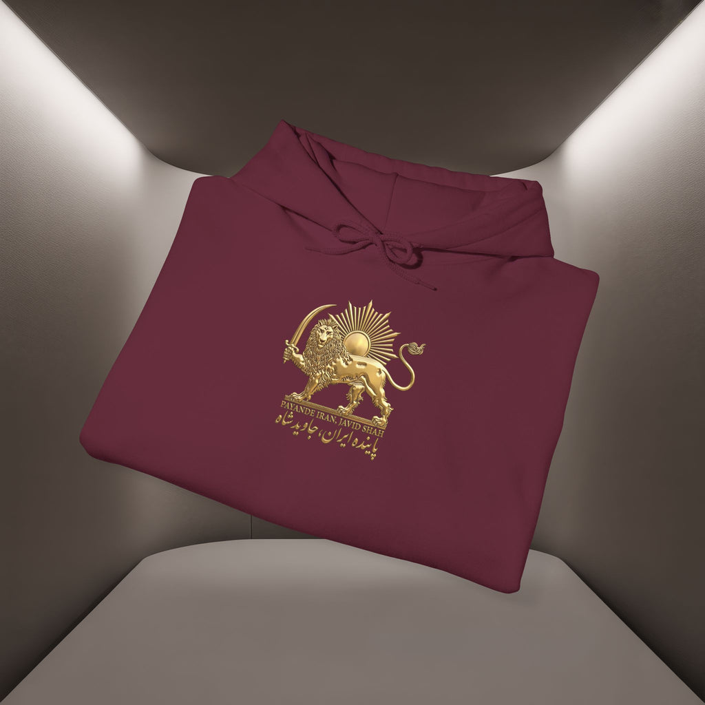 Persian Flag Conceptual Graphic, Unisex Hoodie