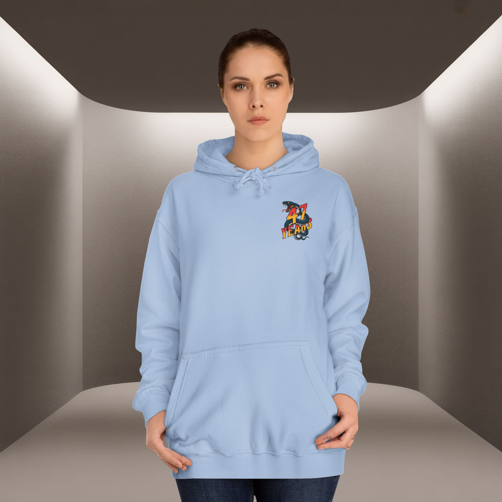 Persian Vibey Unisex Hoodie — 47 years design Hoodie