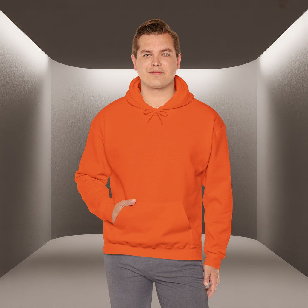 Freedom for Iran Unisex Hoodie — All Eyes On Iran Hoodie