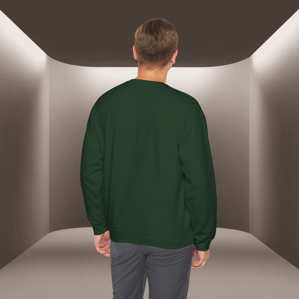 Azadi Baraye Iran Sweatshirt — Freedom for Iran sweatshirt , Premium Quality