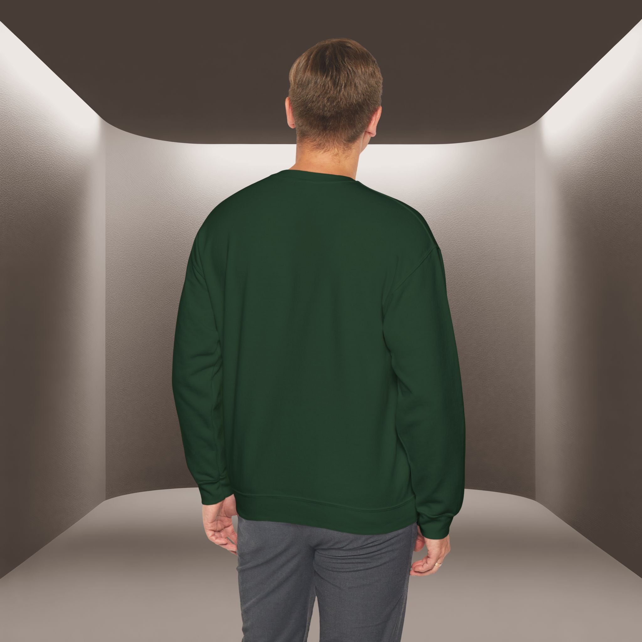 Azadi Baraye Iran Sweatshirt — Freedom for Iran sweatshirt , Premium Quality