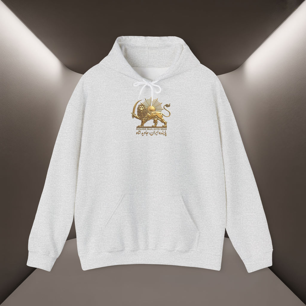Persian Flag Conceptual Graphic, Unisex Hoodie