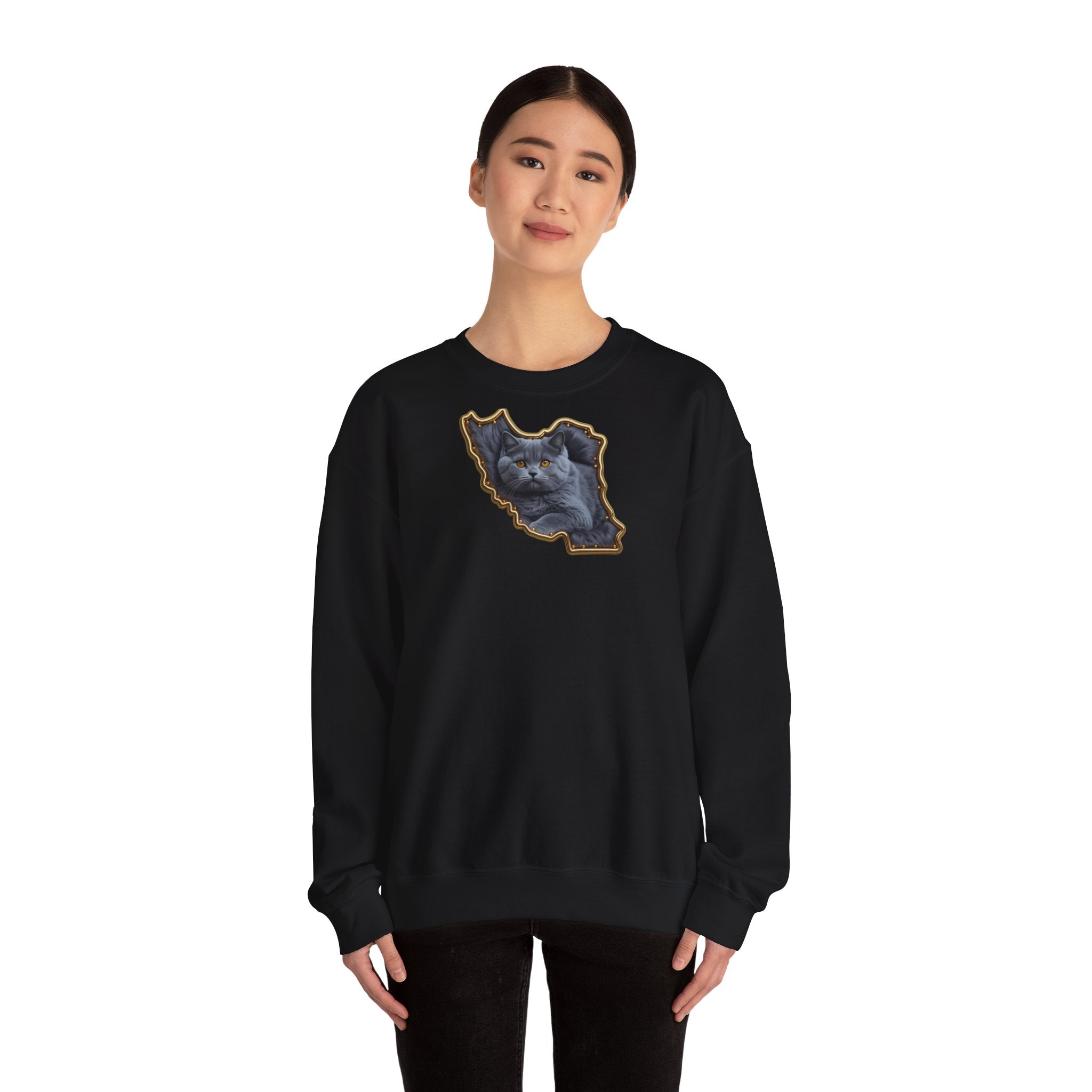 Persian cat & Persian Map Graphic Design Unisex Sweatshirt — Premium quality