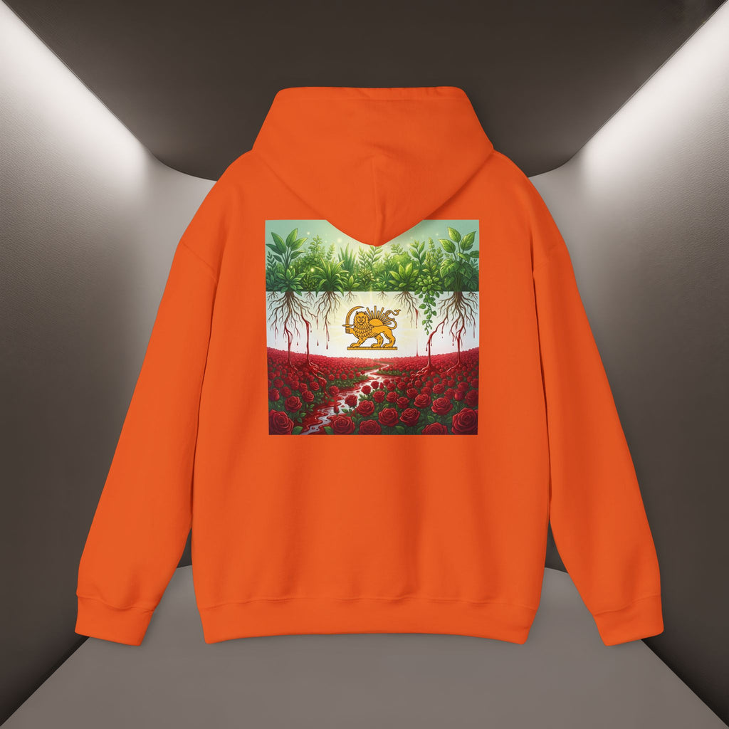 Persian Flag Conceptual Graphic, Unisex Hoodie