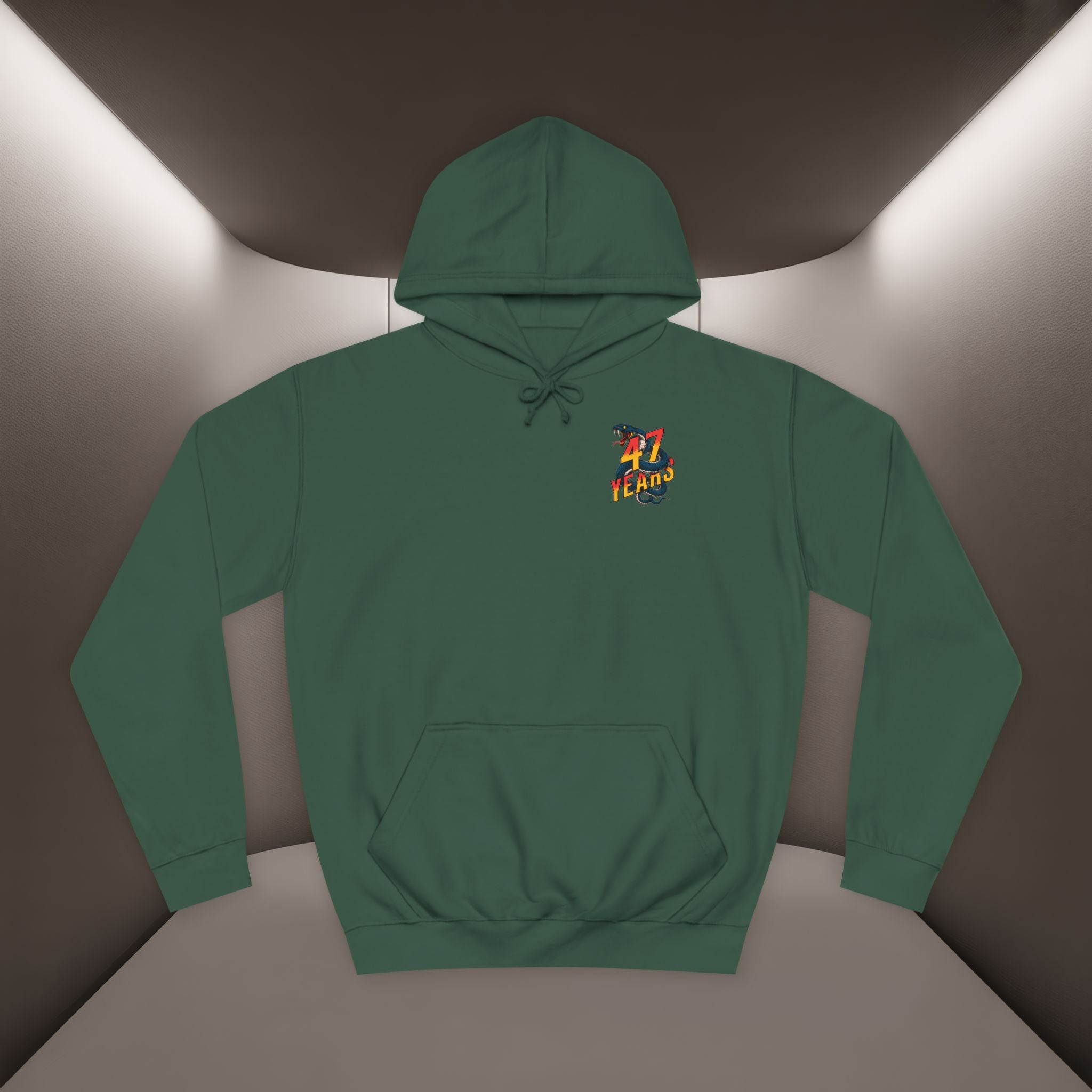 Persian Vibey Unisex Hoodie — 47 years design Hoodie