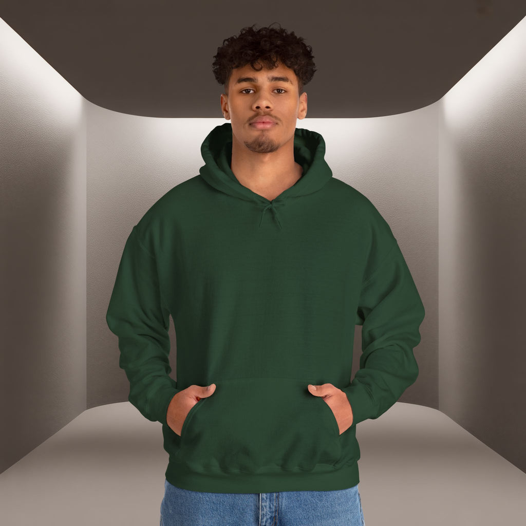 Freedom for Iran Unisex Hoodie — All Eyes On Iran Hoodie