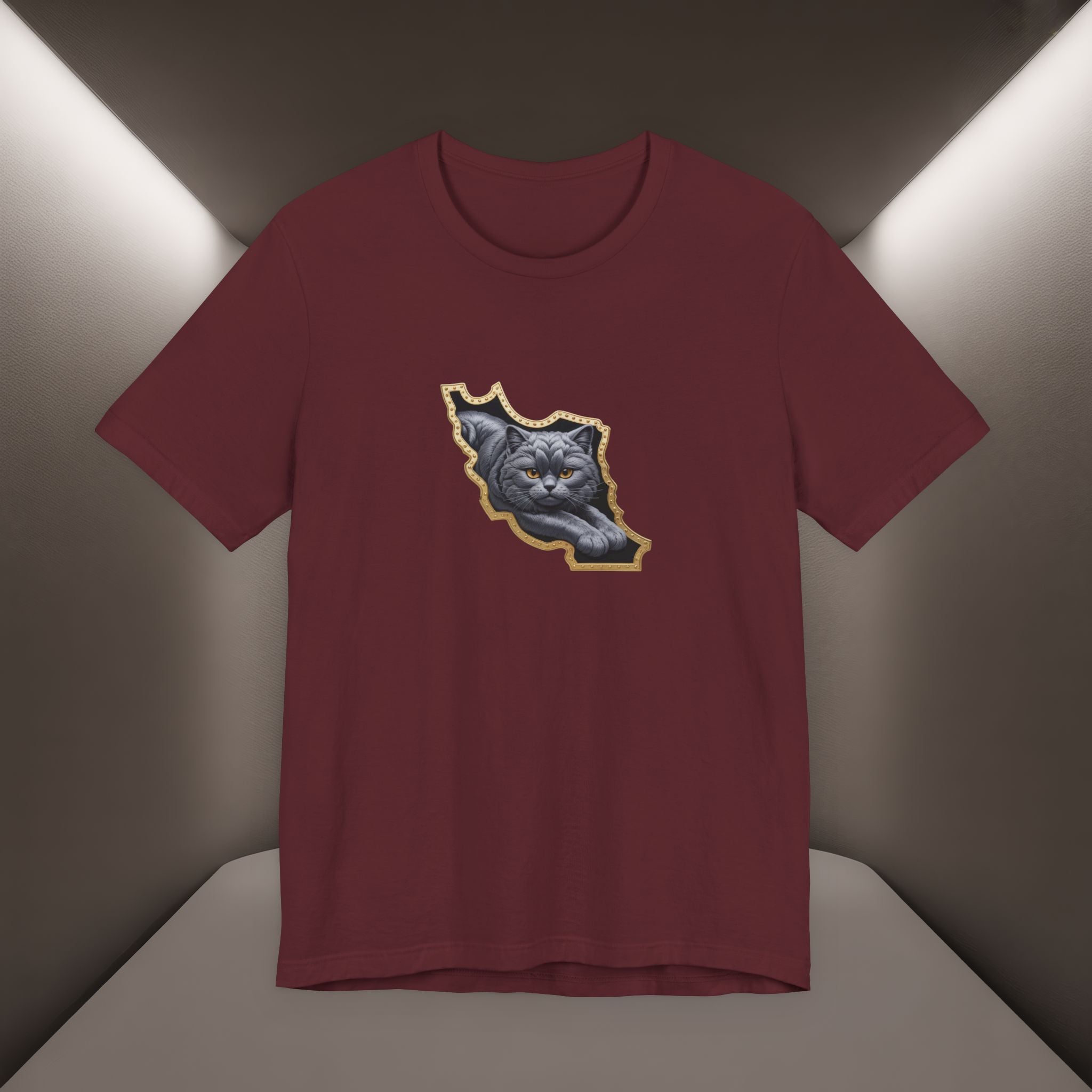 Persian Cat in a Persian Map Graphic design- unisex T-shirt- Premium quality