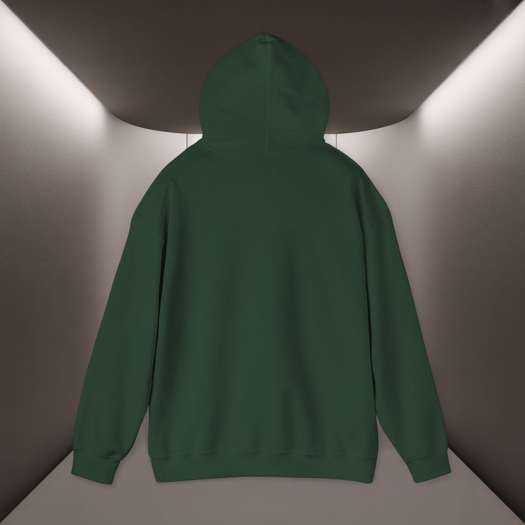 Iran deserves freedom Unisex Hoodie — Iran hoodie - Persian Vibey