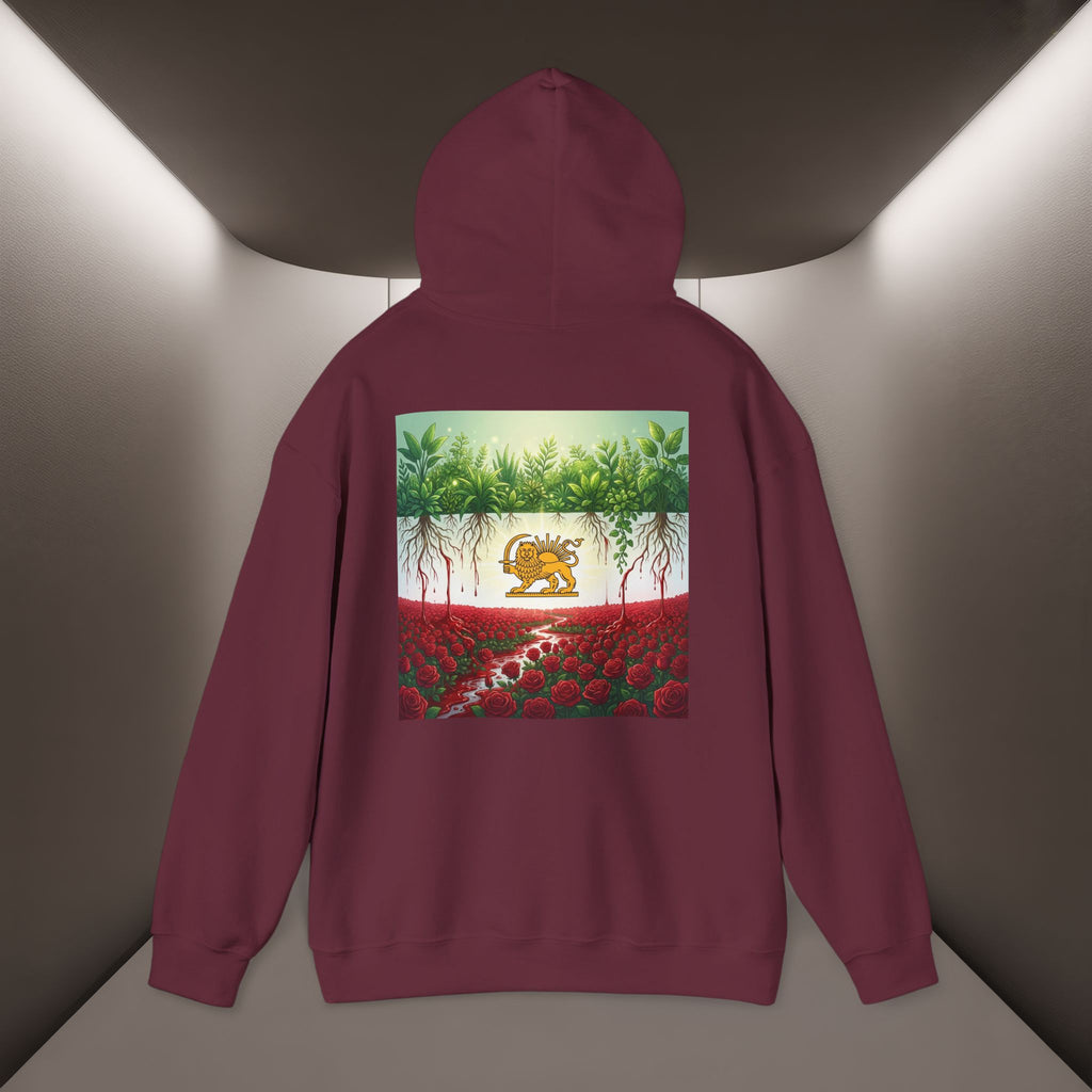 Persian Flag Conceptual Graphic, Unisex Hoodie