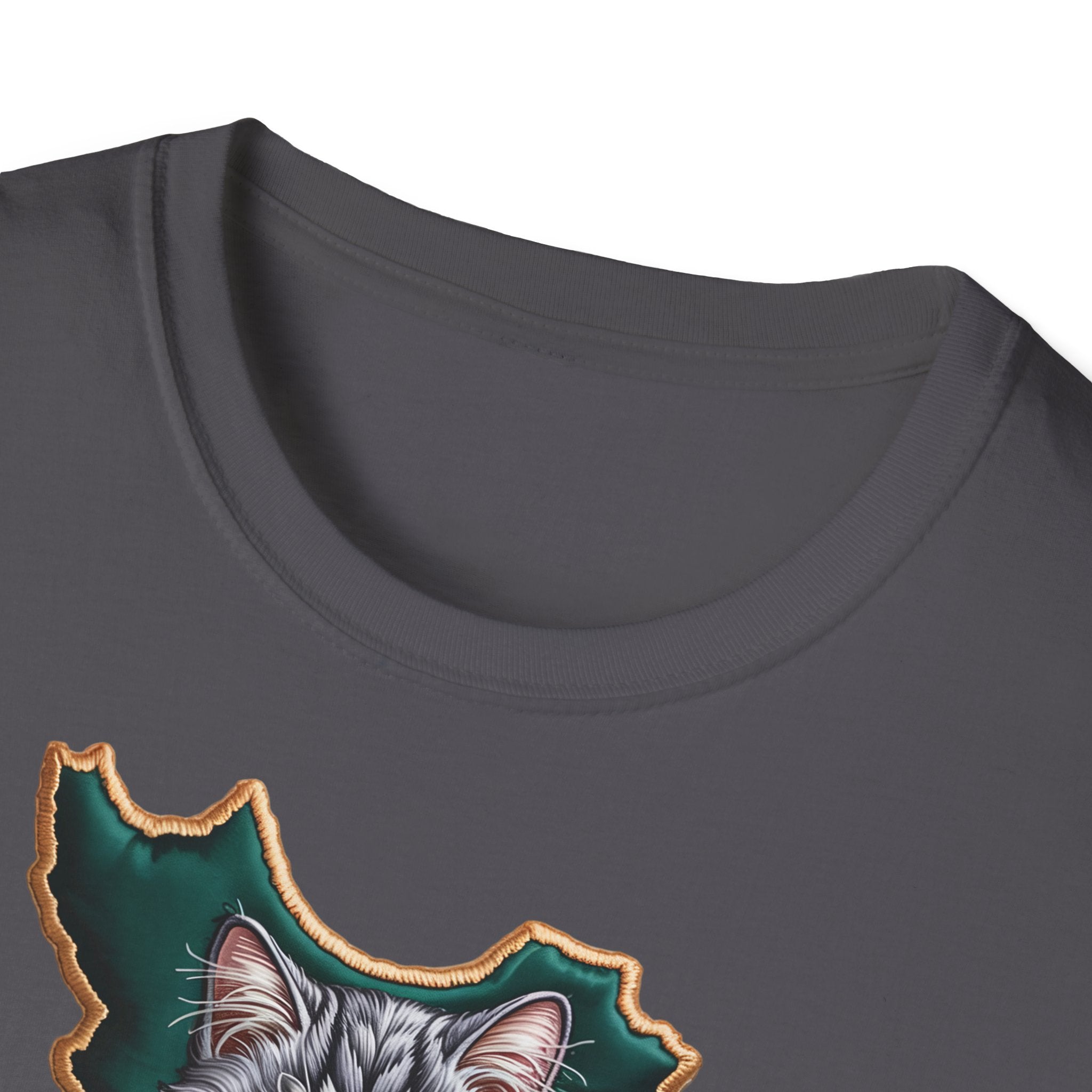 when Persian cat meets the Persian map - premium quality