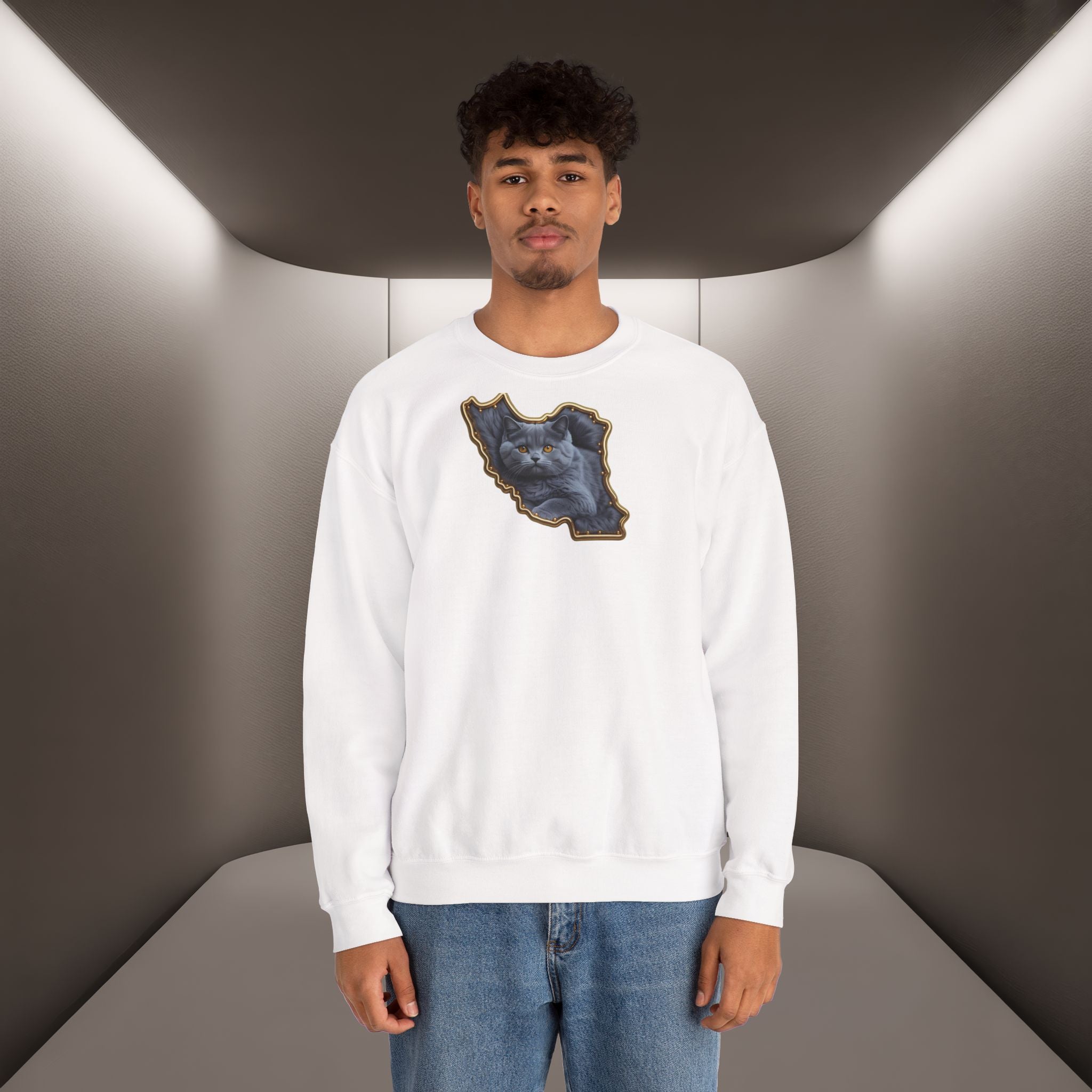 Persian cat & Persian Map Graphic Design Unisex Sweatshirt — Premium quality