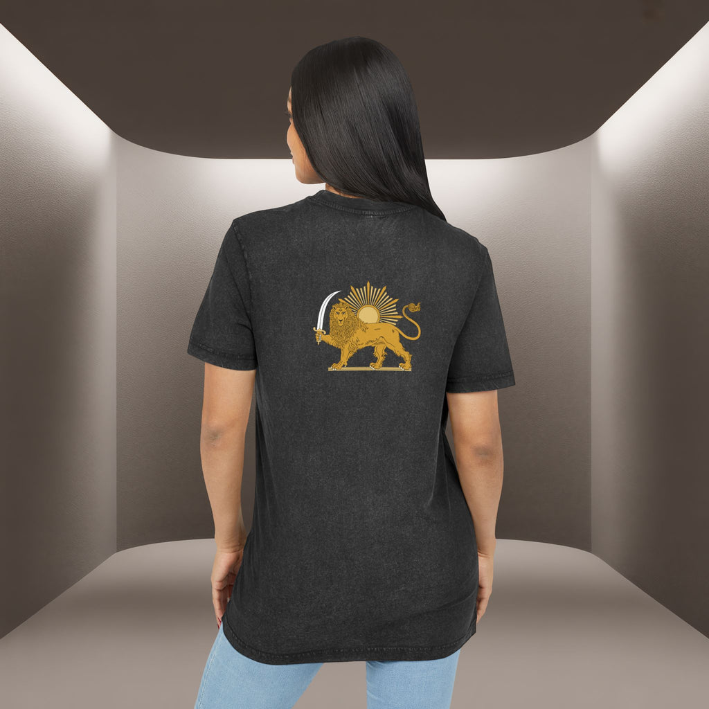 Prince of Persia Tshirt — Pahlavi Acid Wash Tshirt - Persian Vibey