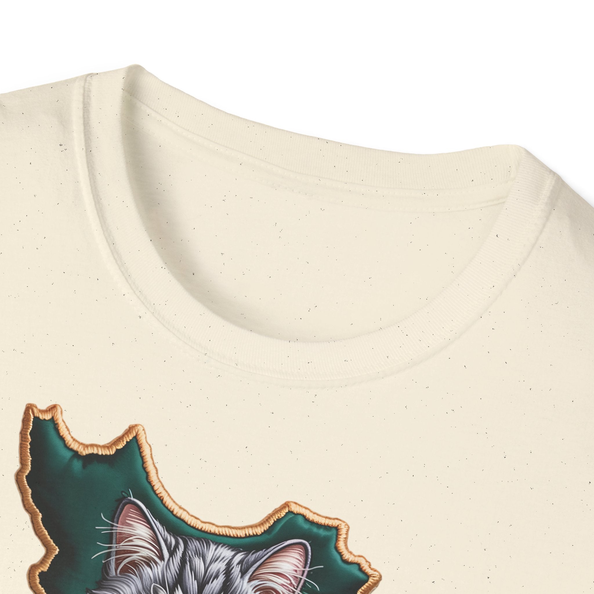 when Persian cat meets the Persian map - premium quality