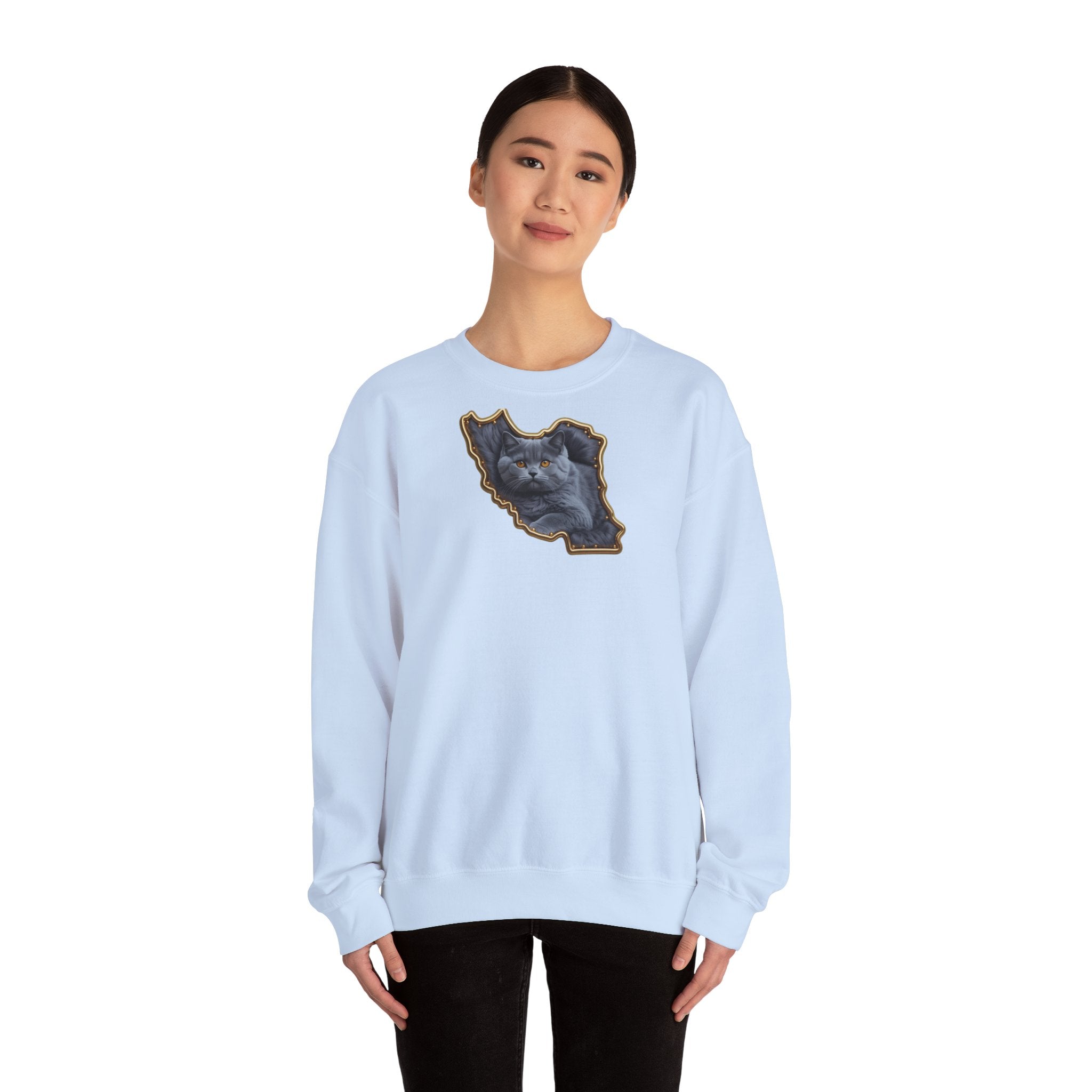 Persian cat & Persian Map Graphic Design Unisex Sweatshirt — Premium quality