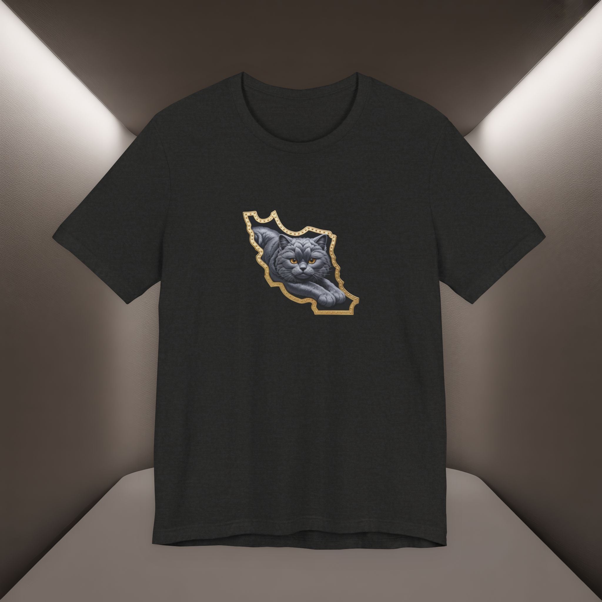 Persian Cat in a Persian Map Graphic design- unisex T-shirt- Premium quality