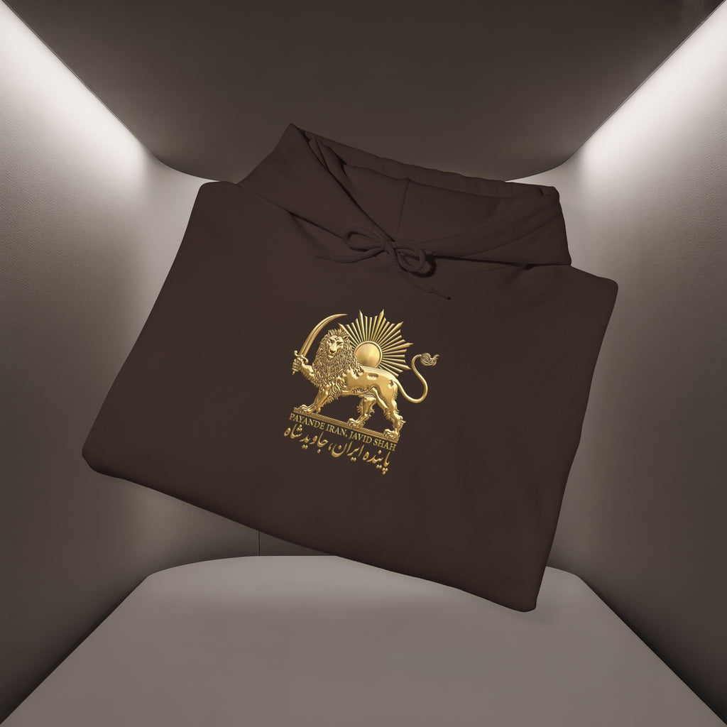 Persian Flag Conceptual Graphic, Unisex Hoodie