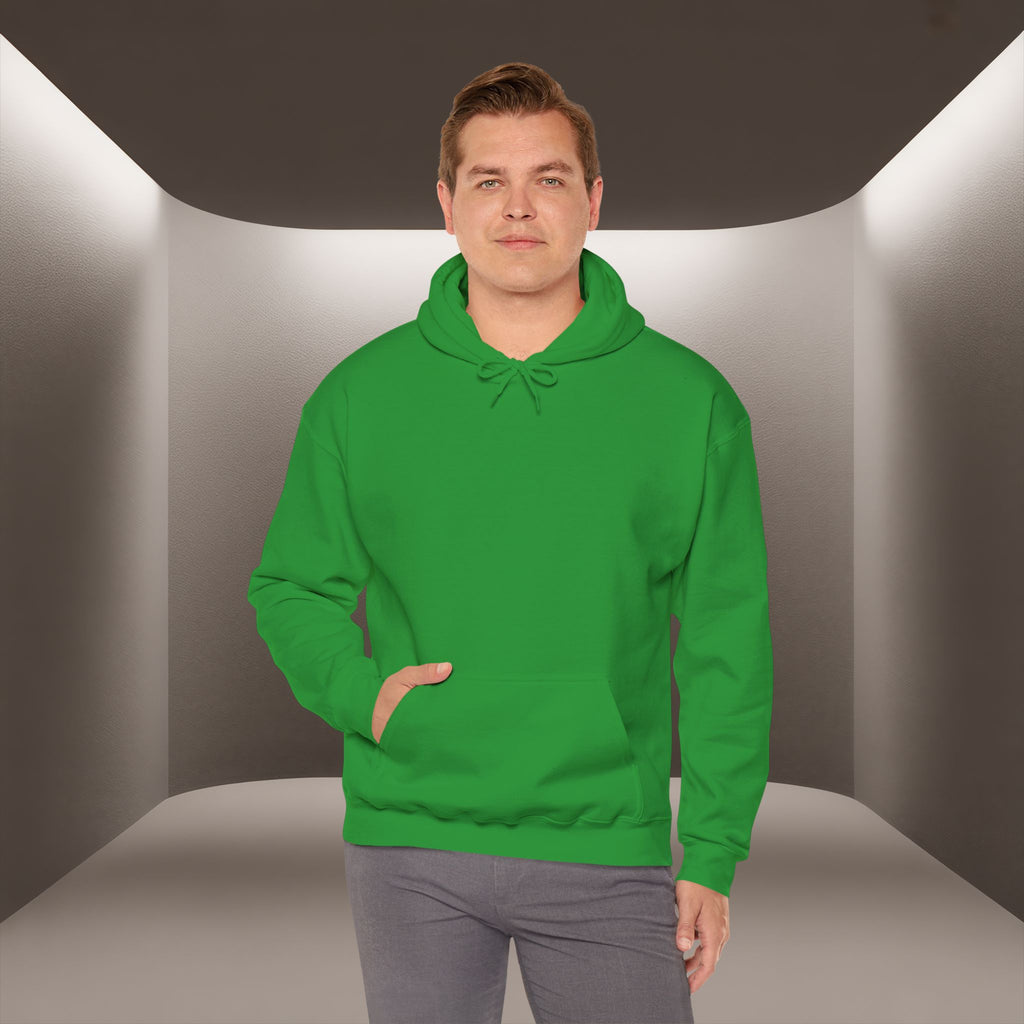 Freedom for Iran Unisex Hoodie — All Eyes On Iran Hoodie