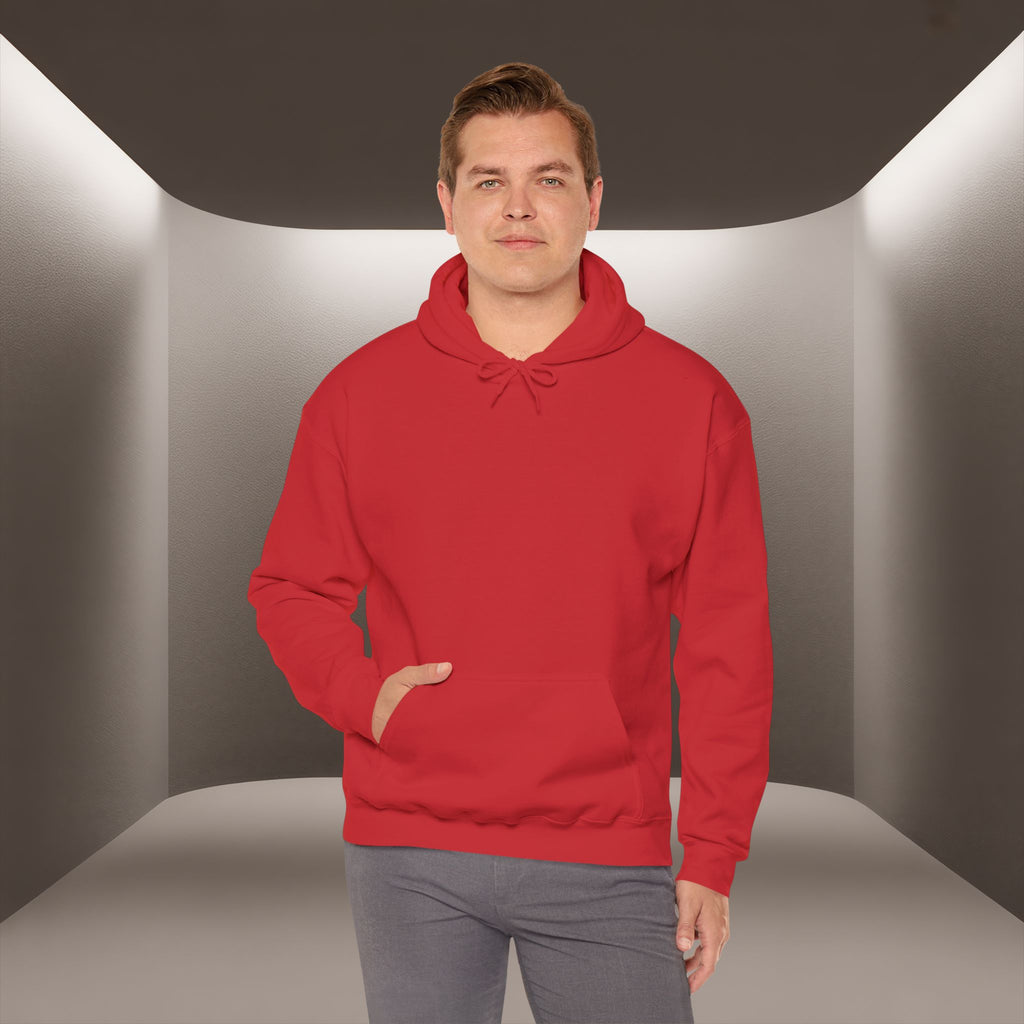 Freedom for Iran Unisex Hoodie — All Eyes On Iran Hoodie