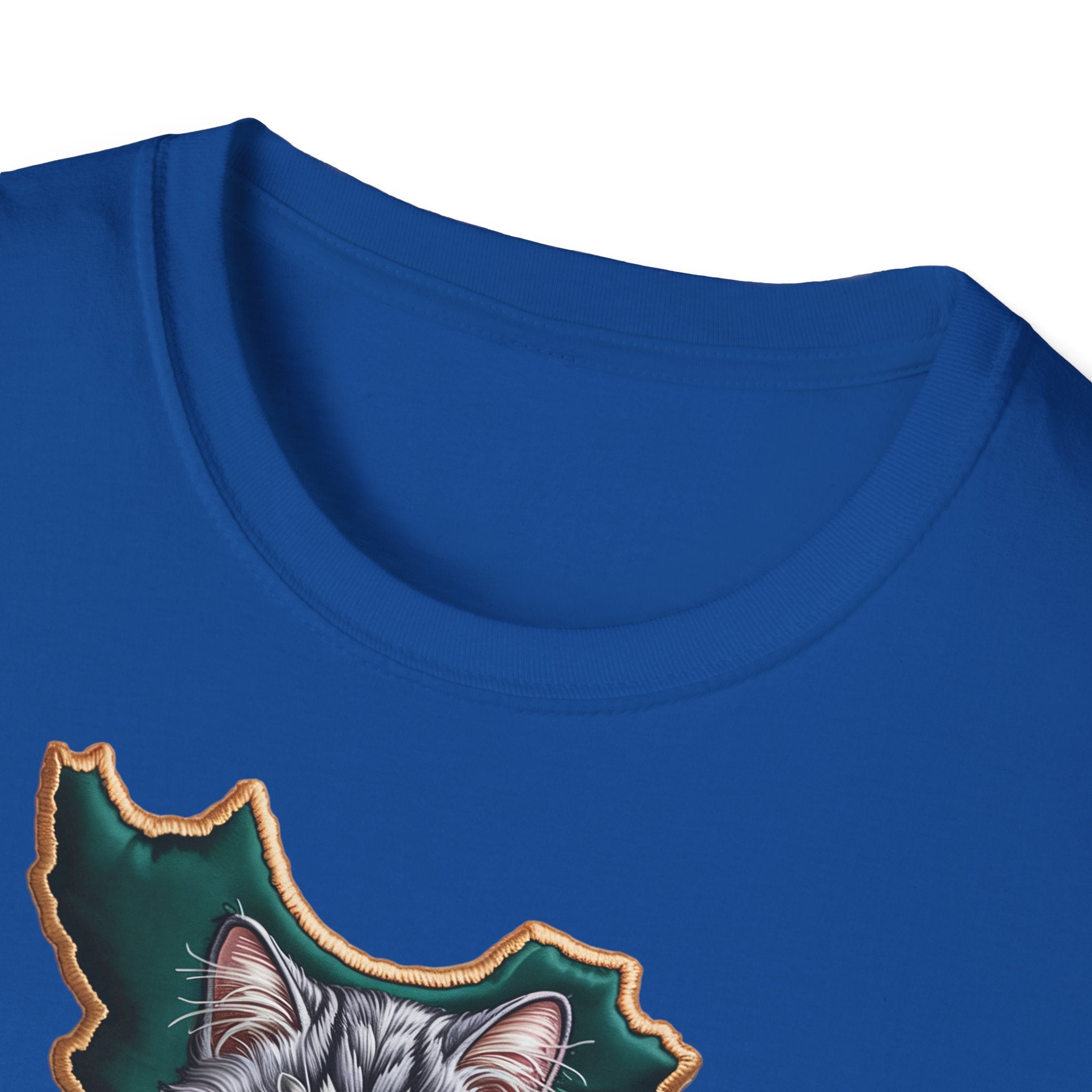 when Persian cat meets the Persian map - premium quality