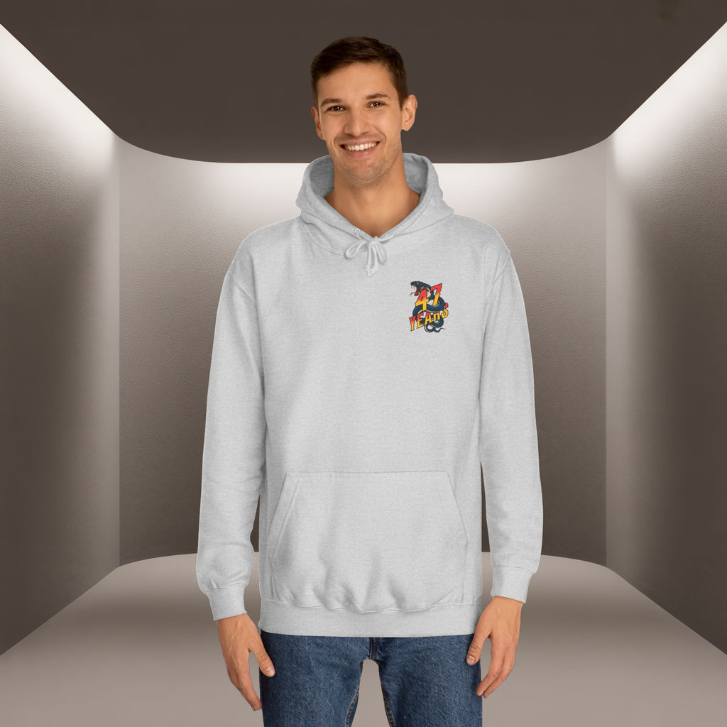 Persian Vibey Unisex Hoodie — 47 years design Hoodie