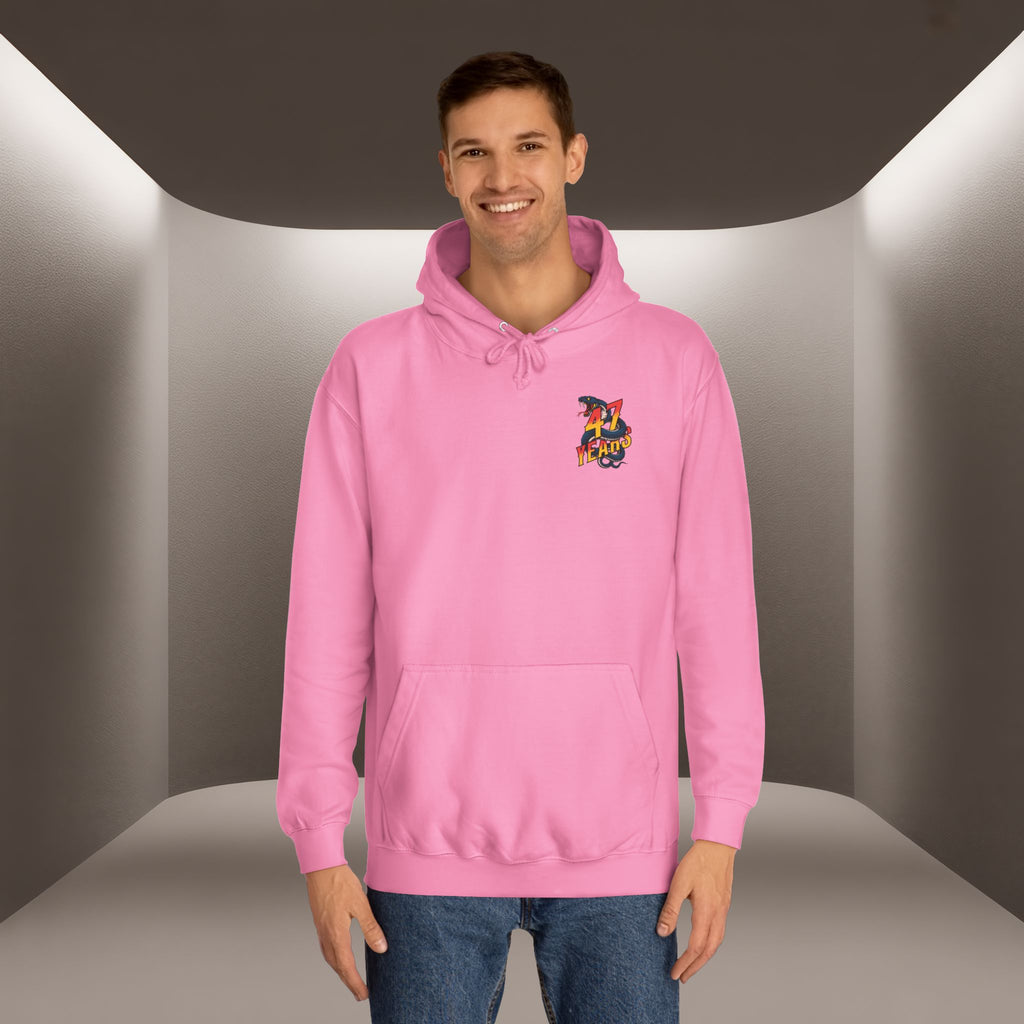 Persian Vibey Unisex Hoodie — 47 years design Hoodie