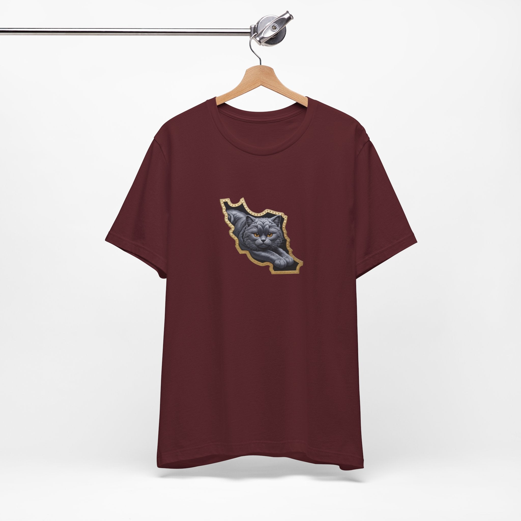 Persian Cat in a Persian Map Graphic design- unisex T-shirt- Premium quality