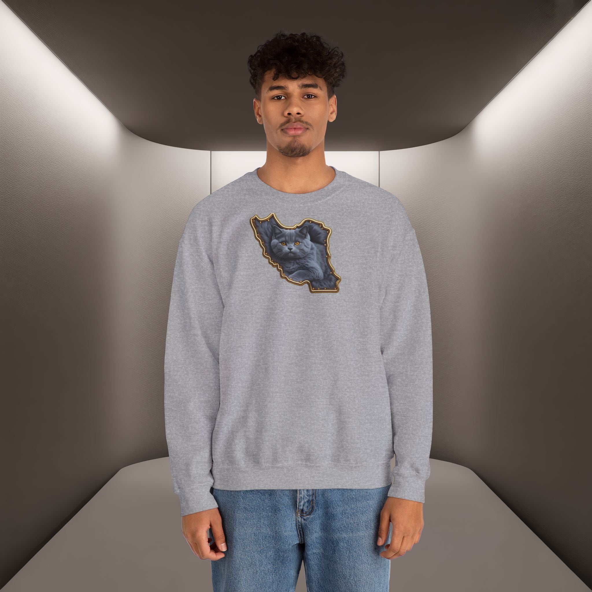 Persian cat & Persian Map Graphic Design Unisex Sweatshirt — Premium quality