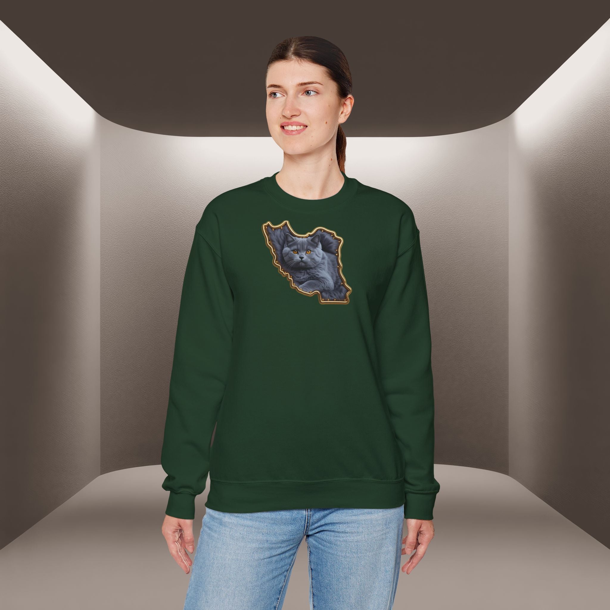 Persian cat & Persian Map Graphic Design Unisex Sweatshirt — Premium quality