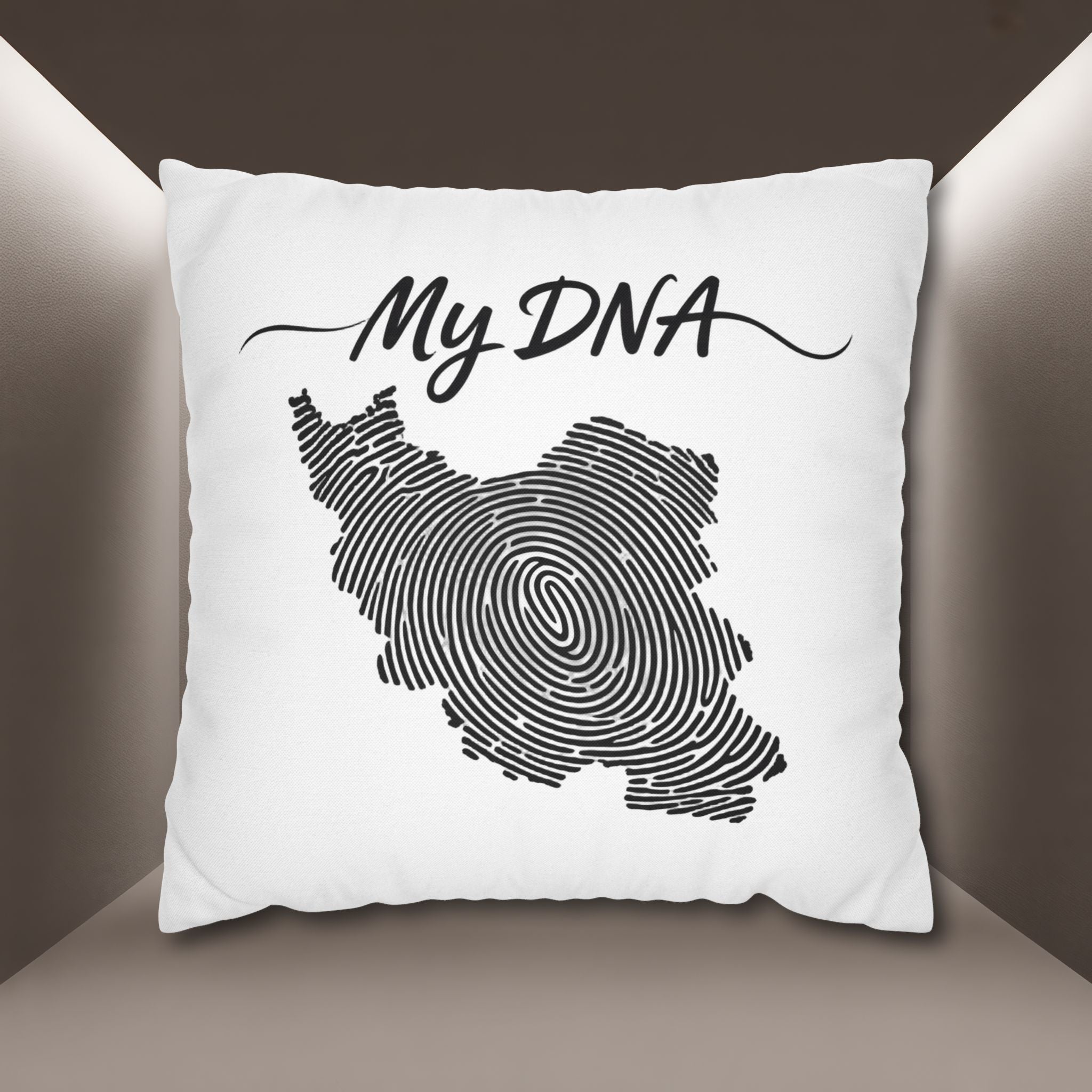 My DNA Map Pillow case — Iran's Map pillow