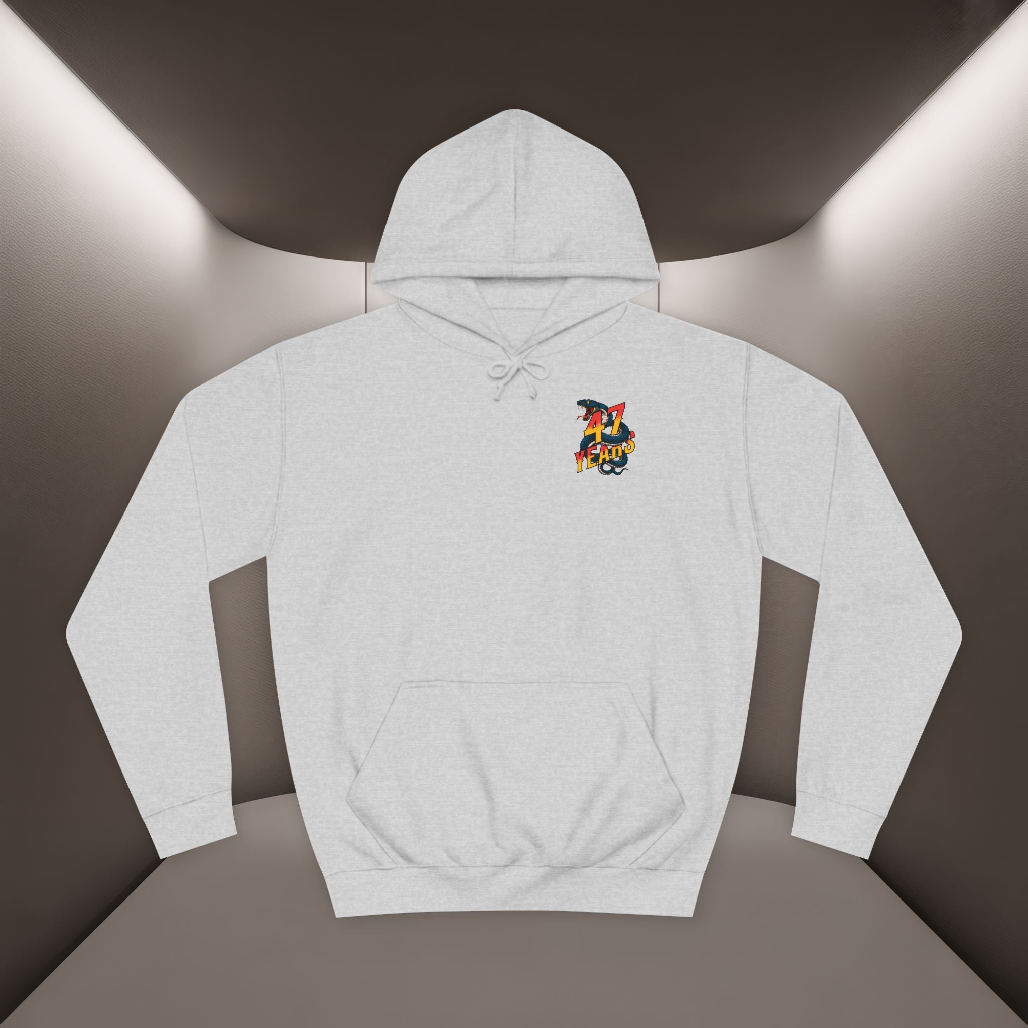Persian Vibey Unisex Hoodie — 47 years design Hoodie