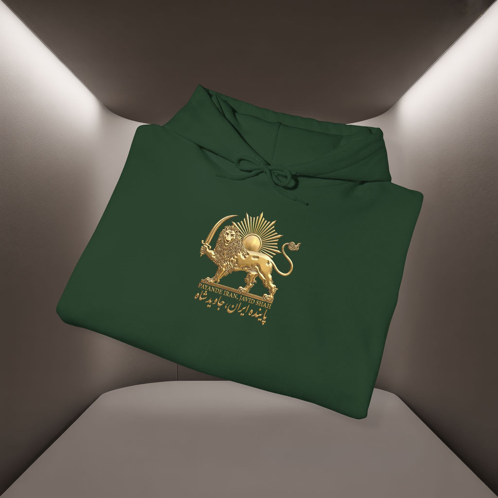 Persian Flag Conceptual Graphic, Unisex Hoodie