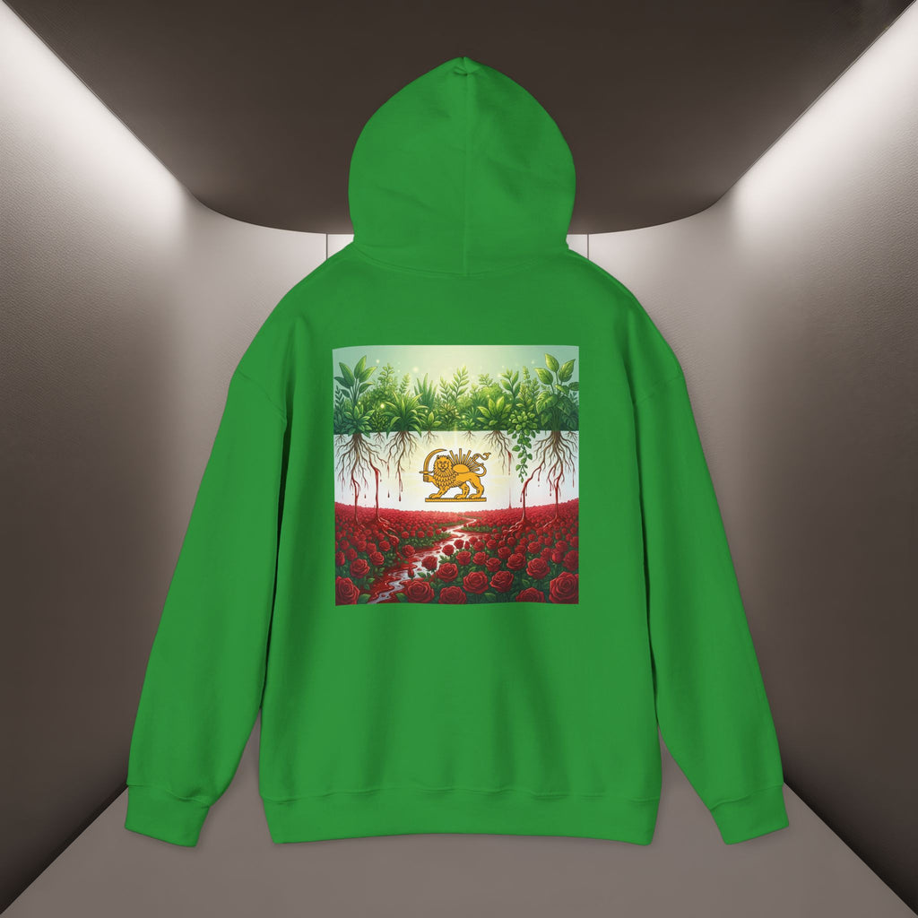 Persian Flag Conceptual Graphic, Unisex Hoodie