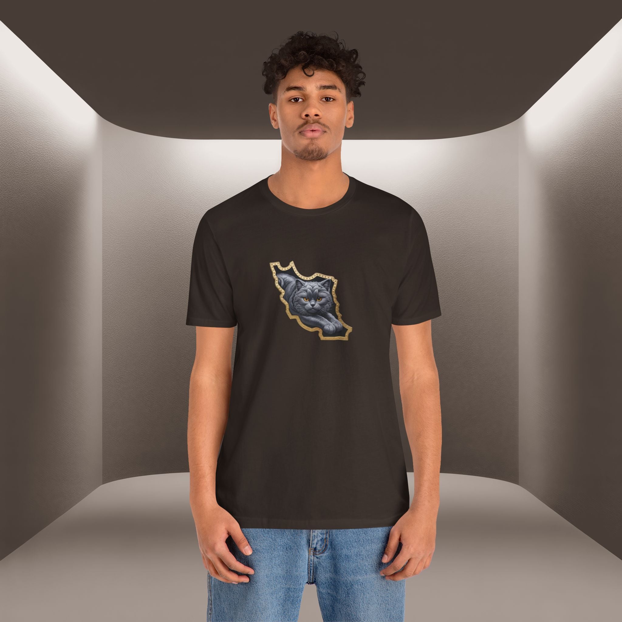 Persian Cat in a Persian Map Graphic design- unisex T-shirt- Premium quality