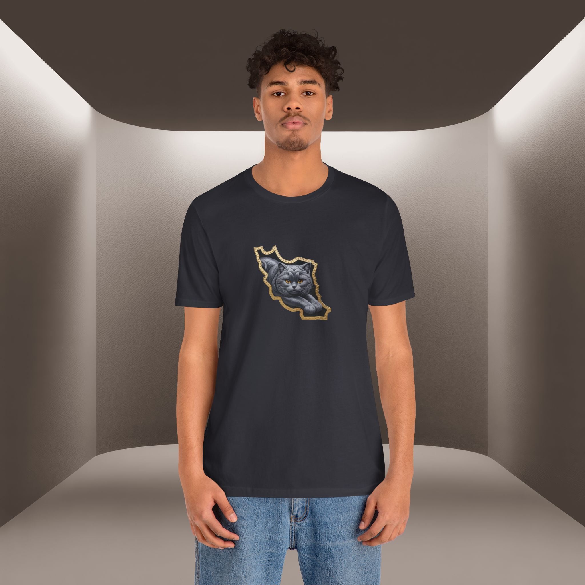 Persian Cat in a Persian Map Graphic design- unisex T-shirt- Premium quality