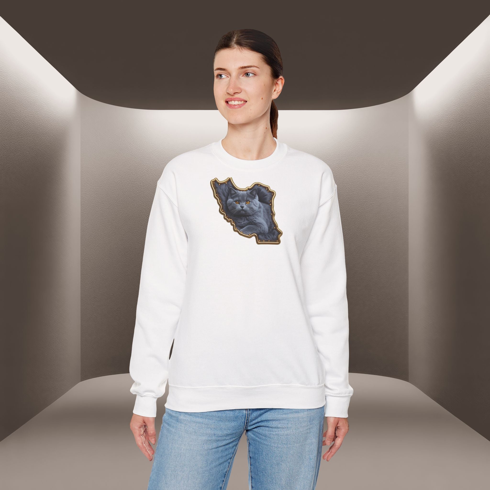 Persian cat & Persian Map Graphic Design Unisex Sweatshirt — Premium quality
