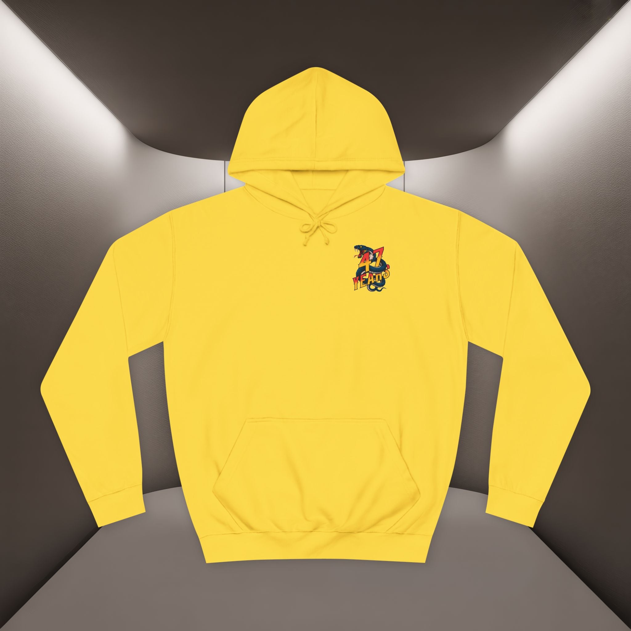 Persian Vibey Unisex Hoodie — 47 years design Hoodie