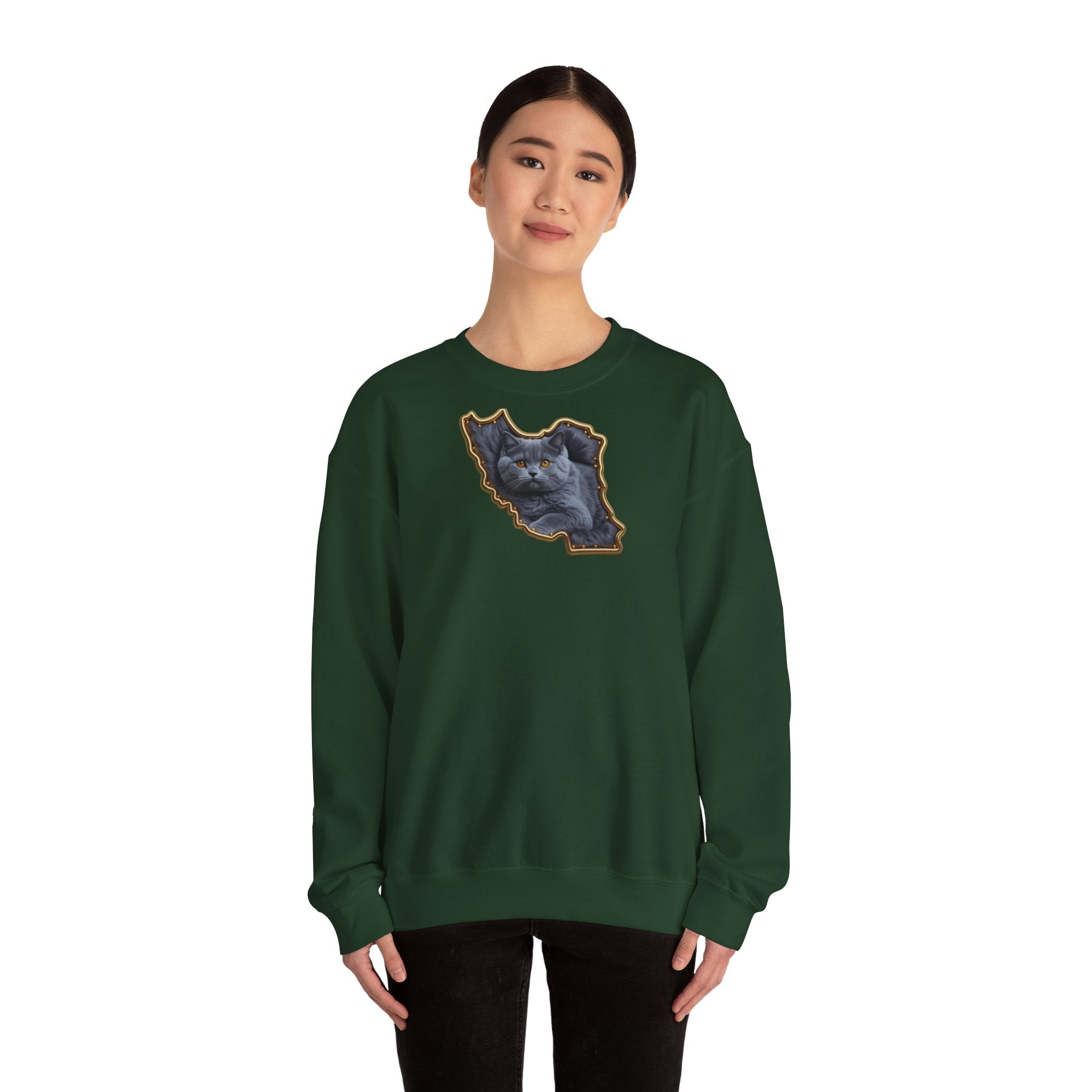 Persian cat & Persian Map Graphic Design Unisex Sweatshirt — Premium quality
