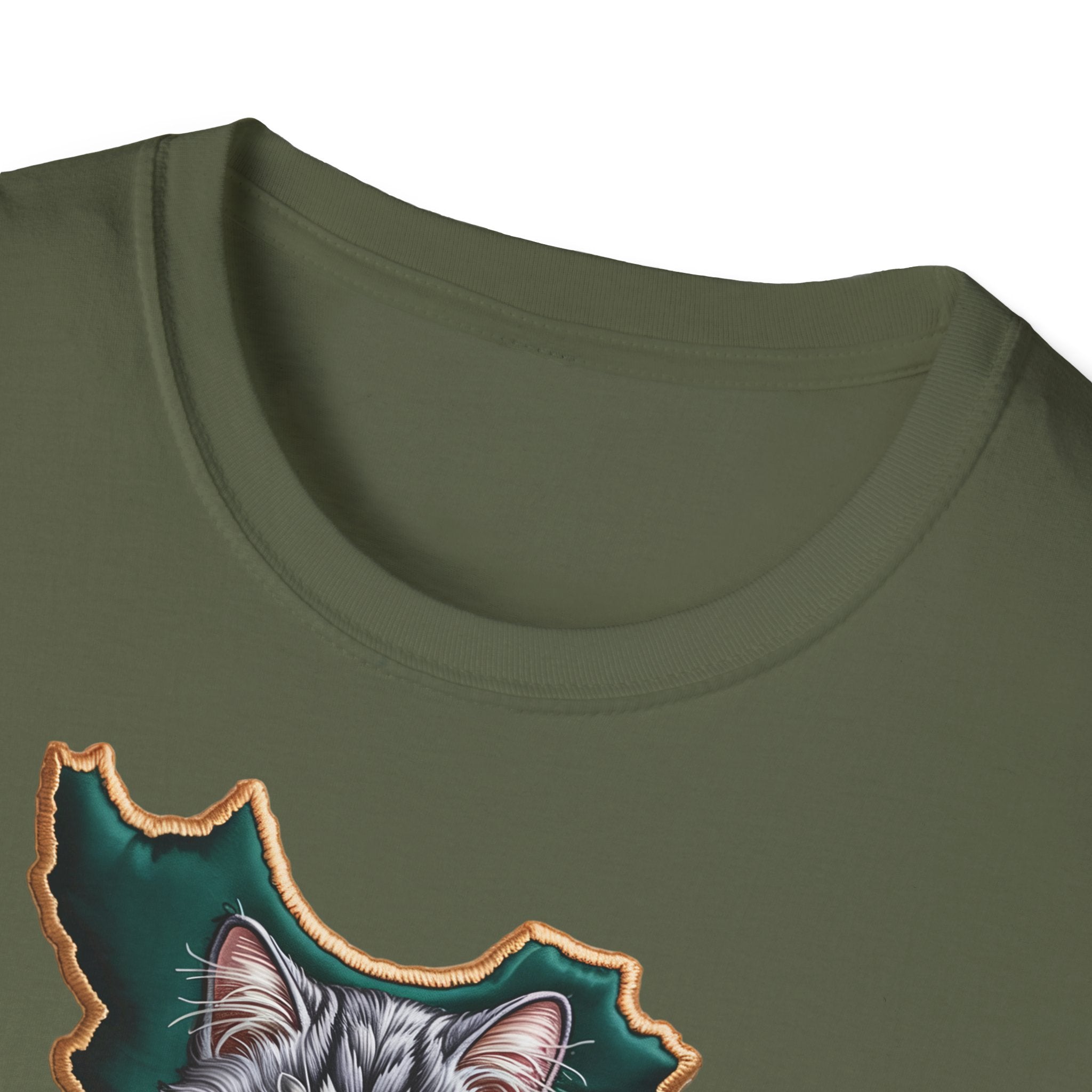 when Persian cat meets the Persian map - premium quality