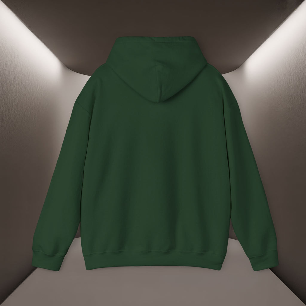 Iran deserves freedom Unisex Hoodie — Iran hoodie - Persian Vibey