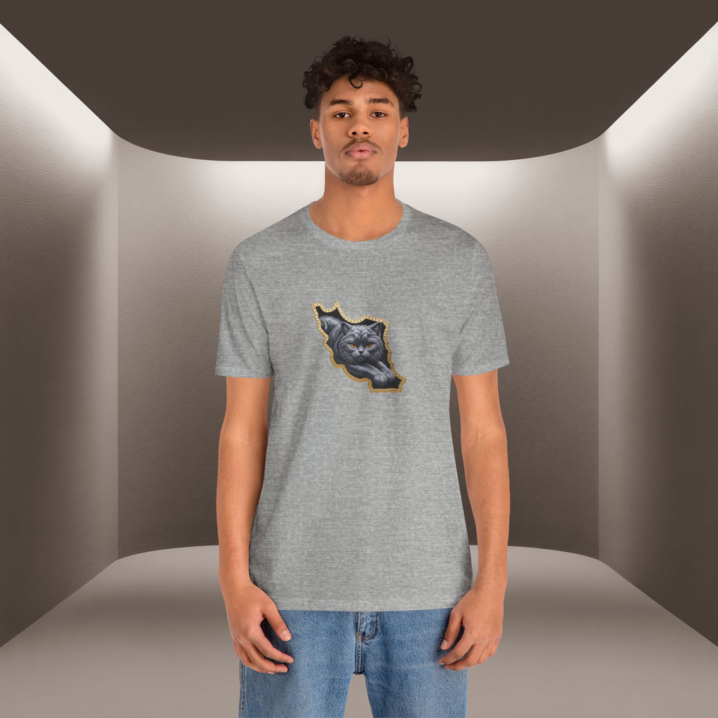 Persian Cat in a Persian Map Graphic design- unisex T-shirt- Premium quality