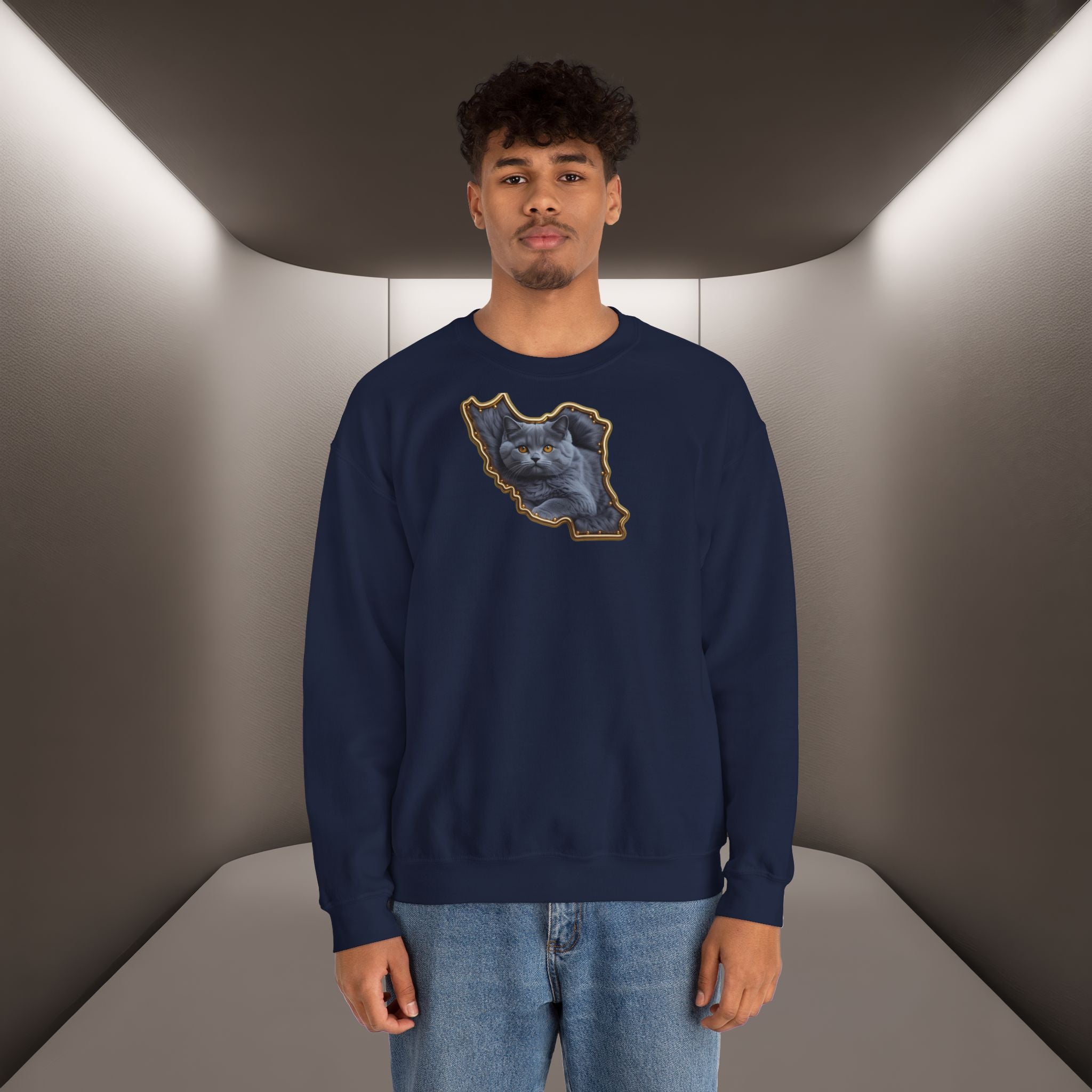Persian cat & Persian Map Graphic Design Unisex Sweatshirt — Premium quality